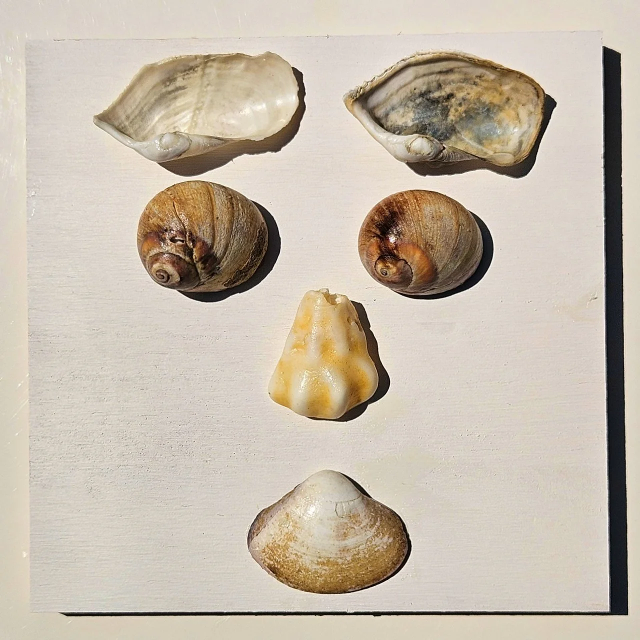 Wabi-Sabi &amp; Wasabi – Art, Crafts, and Reflective Painting 