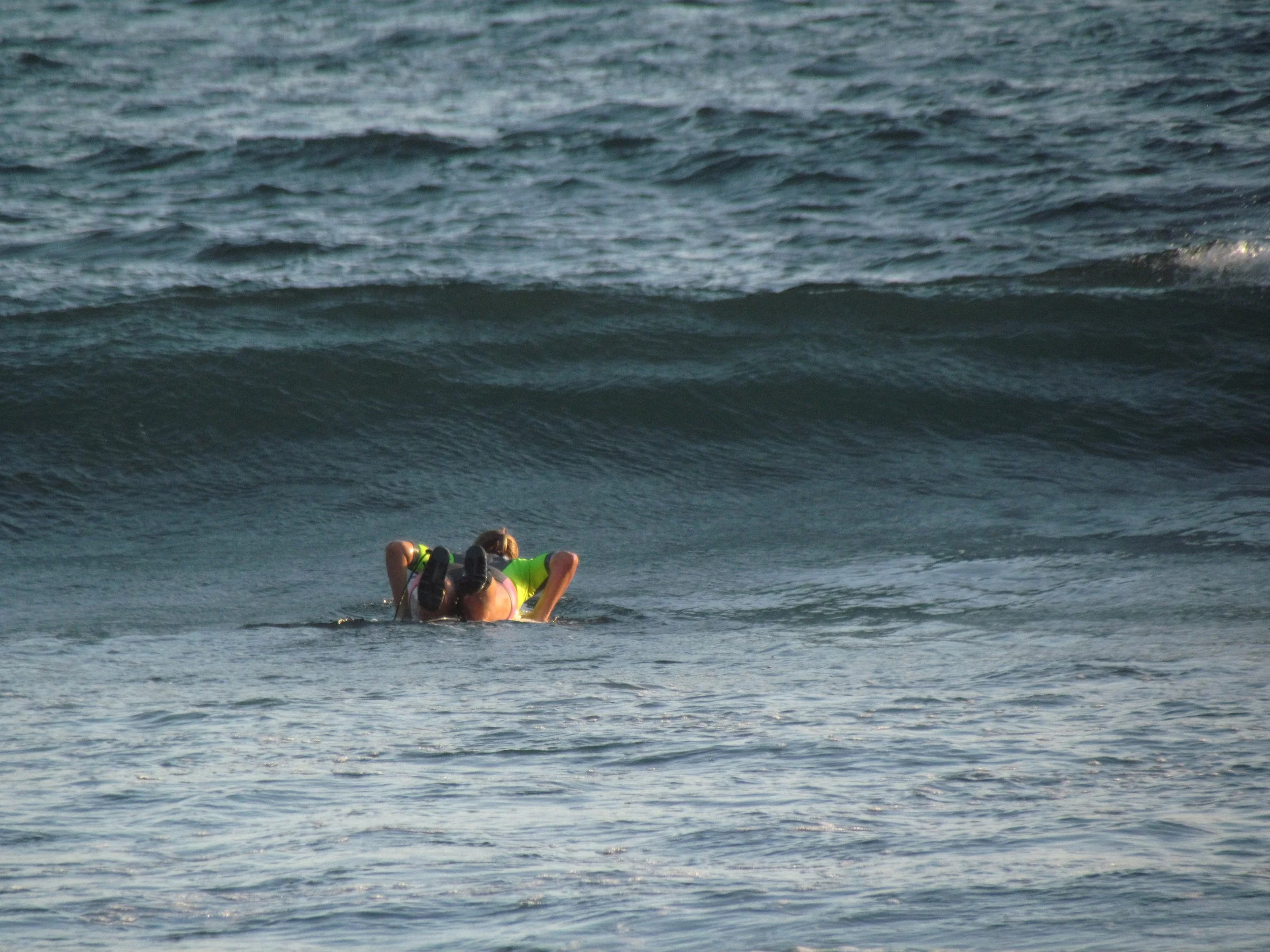 A lone surfer paddles toward a rising ocean swell under soft evening light, illustrating the visual poem "Wild Surfing" about life's unexpected currents.