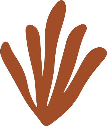 Anxiety support for professional women balancing responsibility and mental load