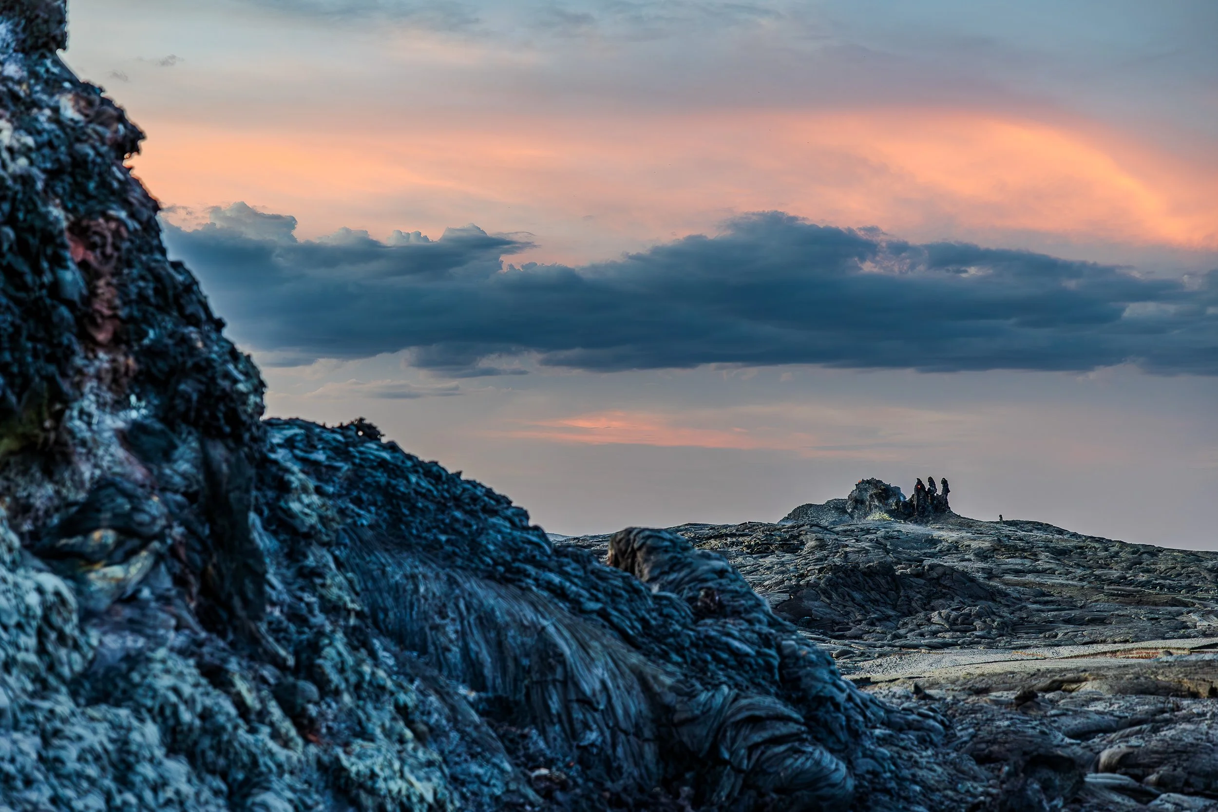 2I7A8851-Enhanced-NR.jpg