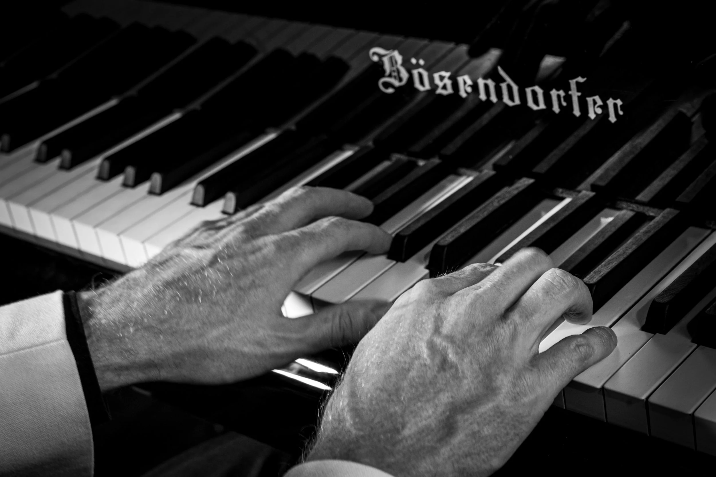 Black and white hands.jpg