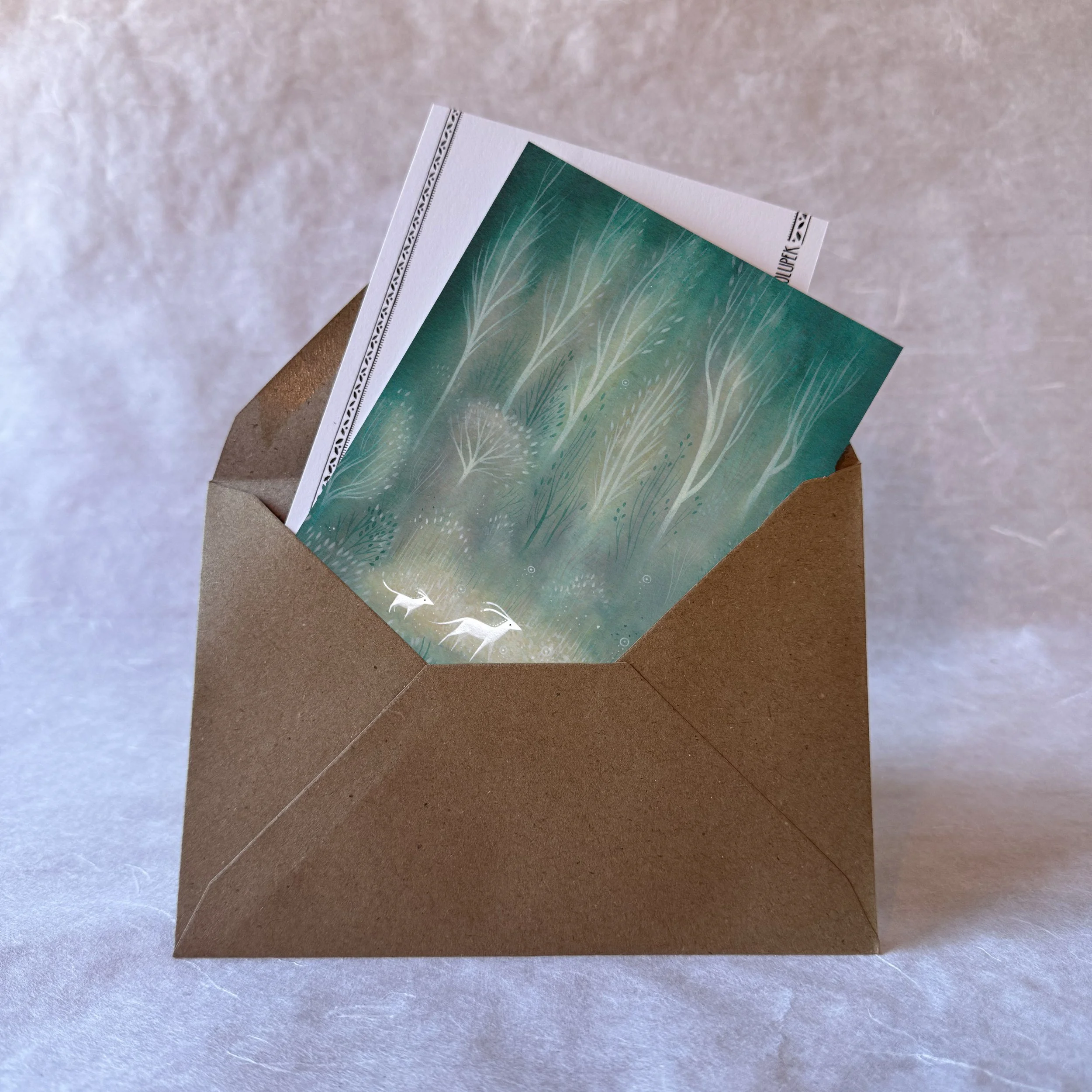 CP_enveloppe_bestioles lunaires.jpg