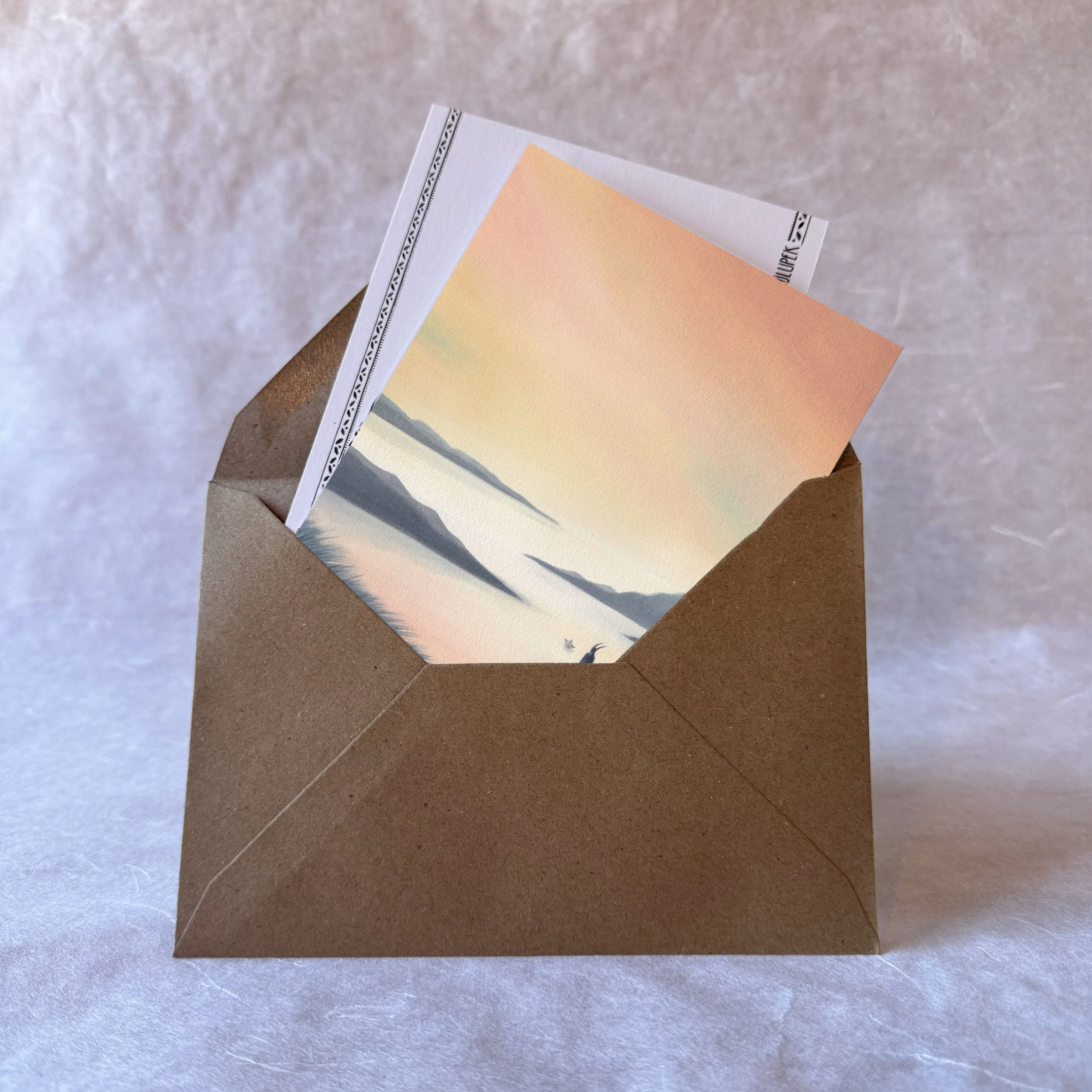 CP_enveloppe coast tiny.jpg