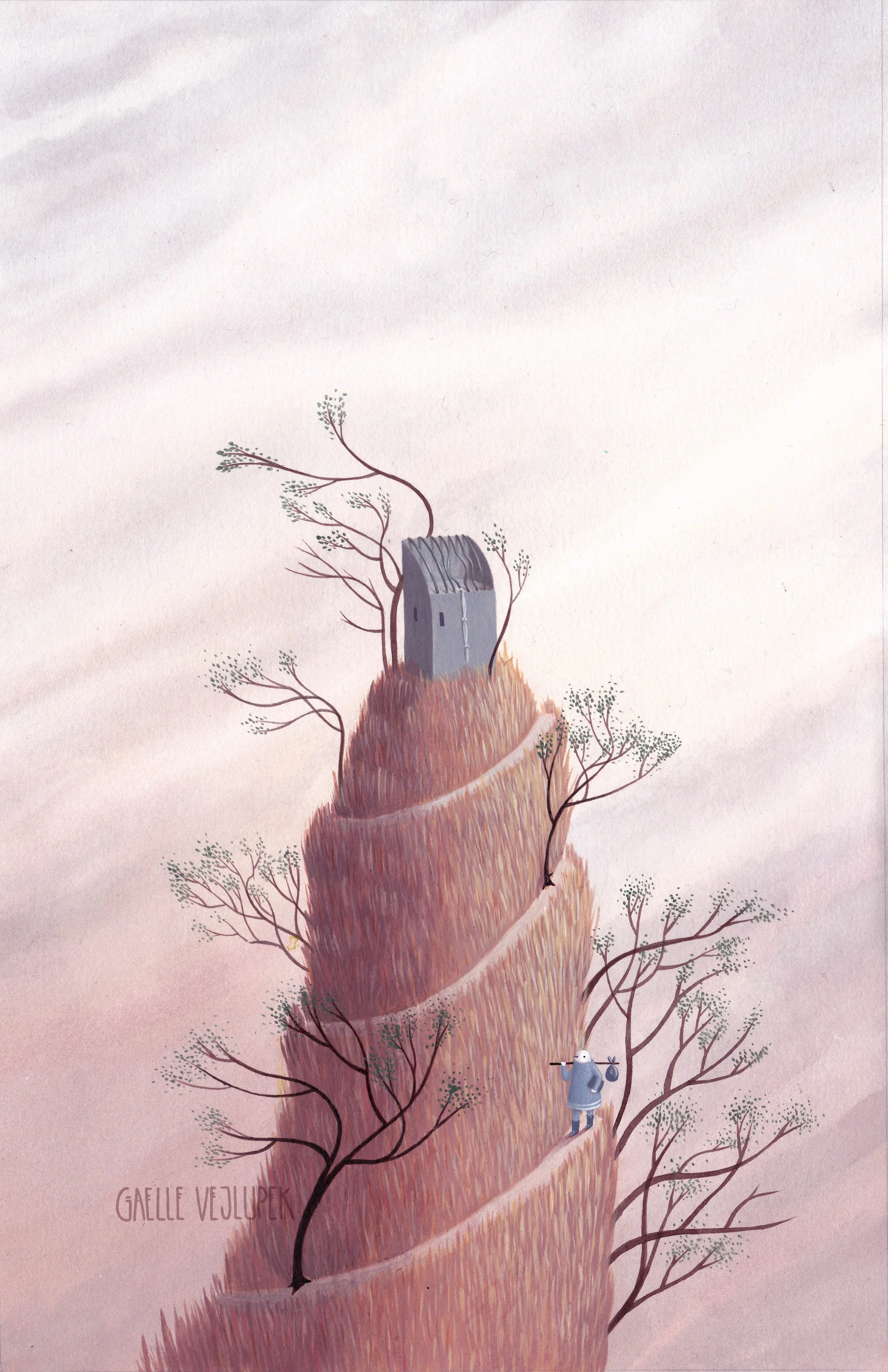 16 roof cage copy.jpg