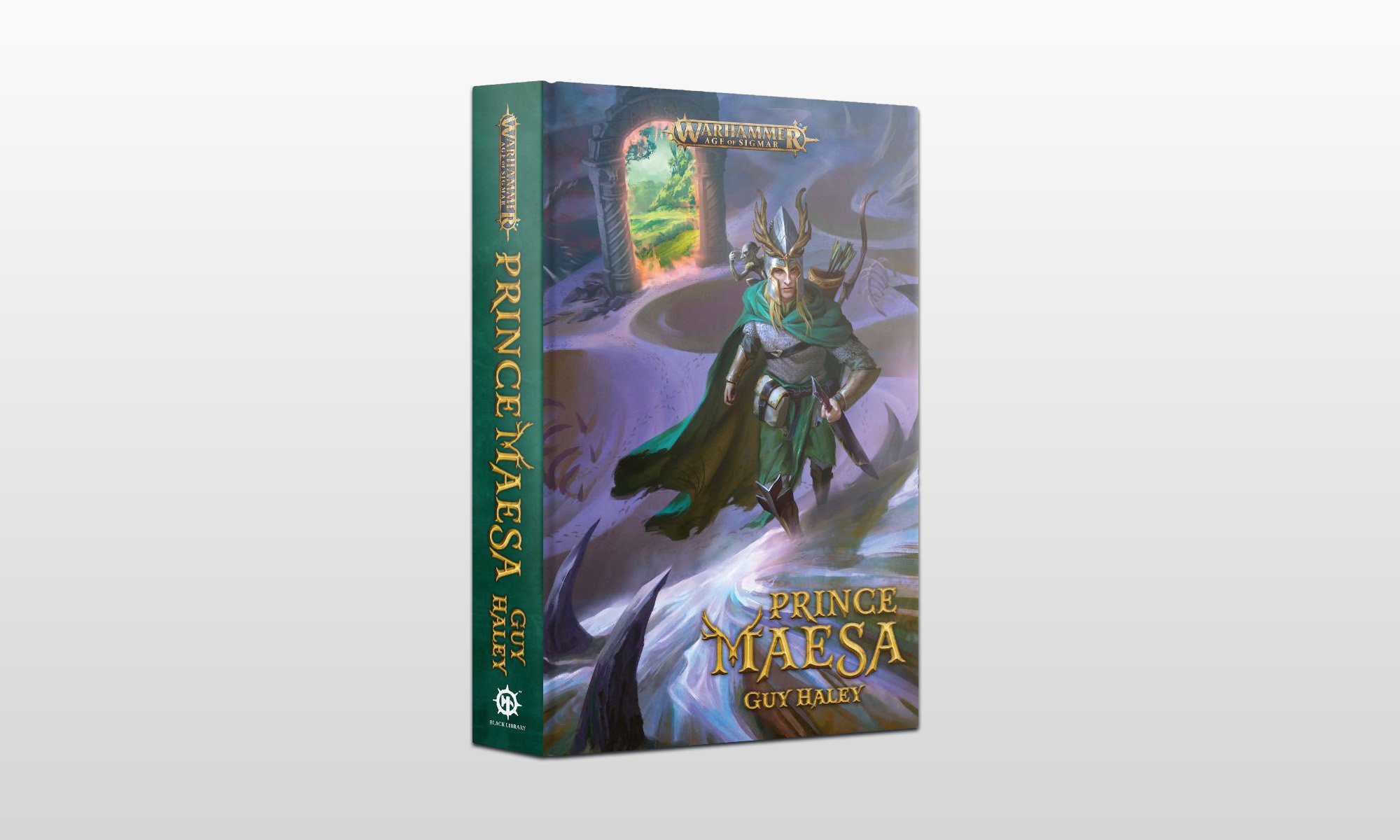 Prince Maesa book cover