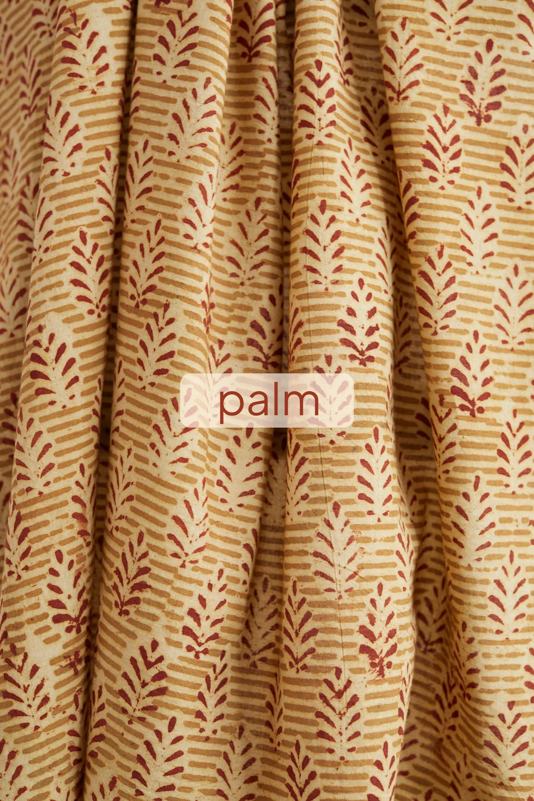 palm.jpg