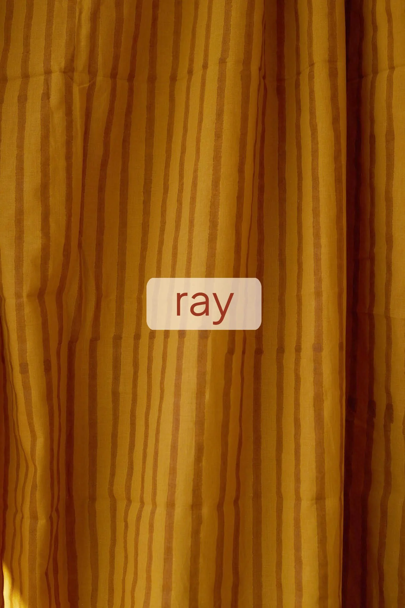 ray.jpg