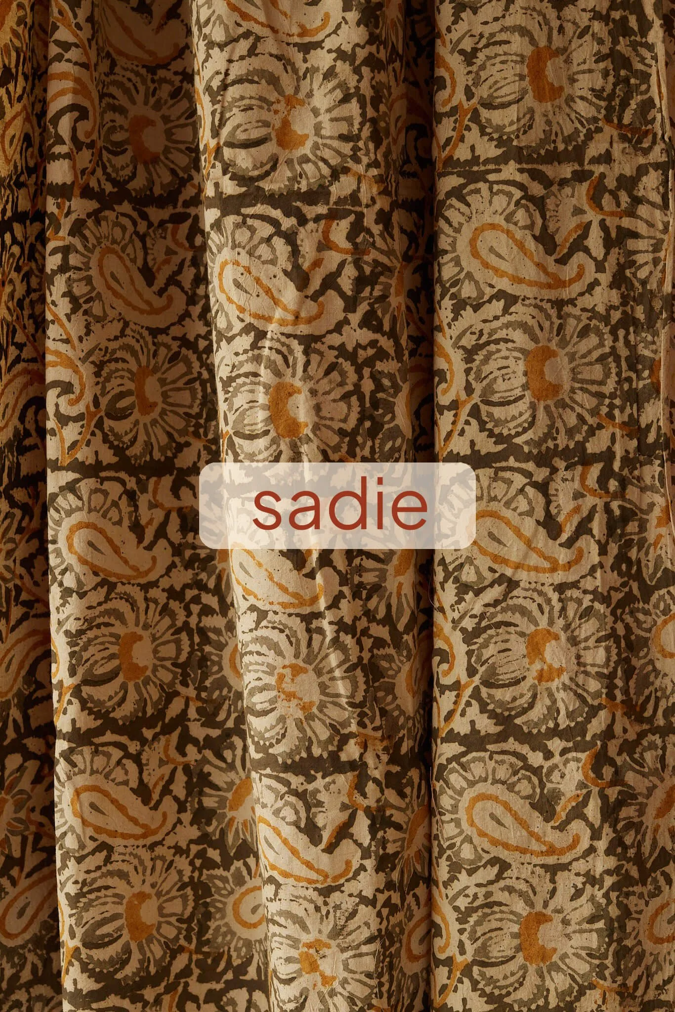 sadie.jpg