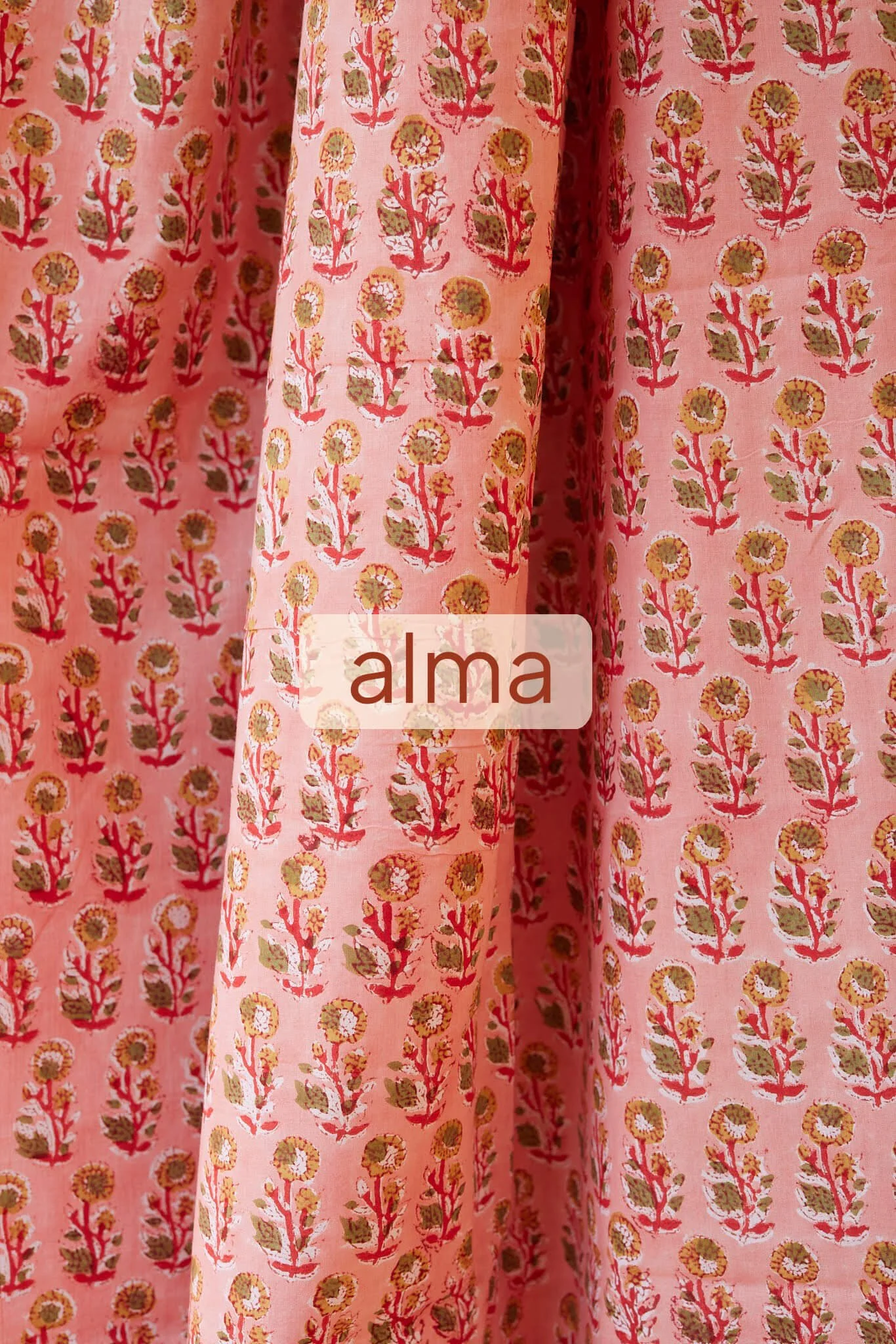 alma.jpg