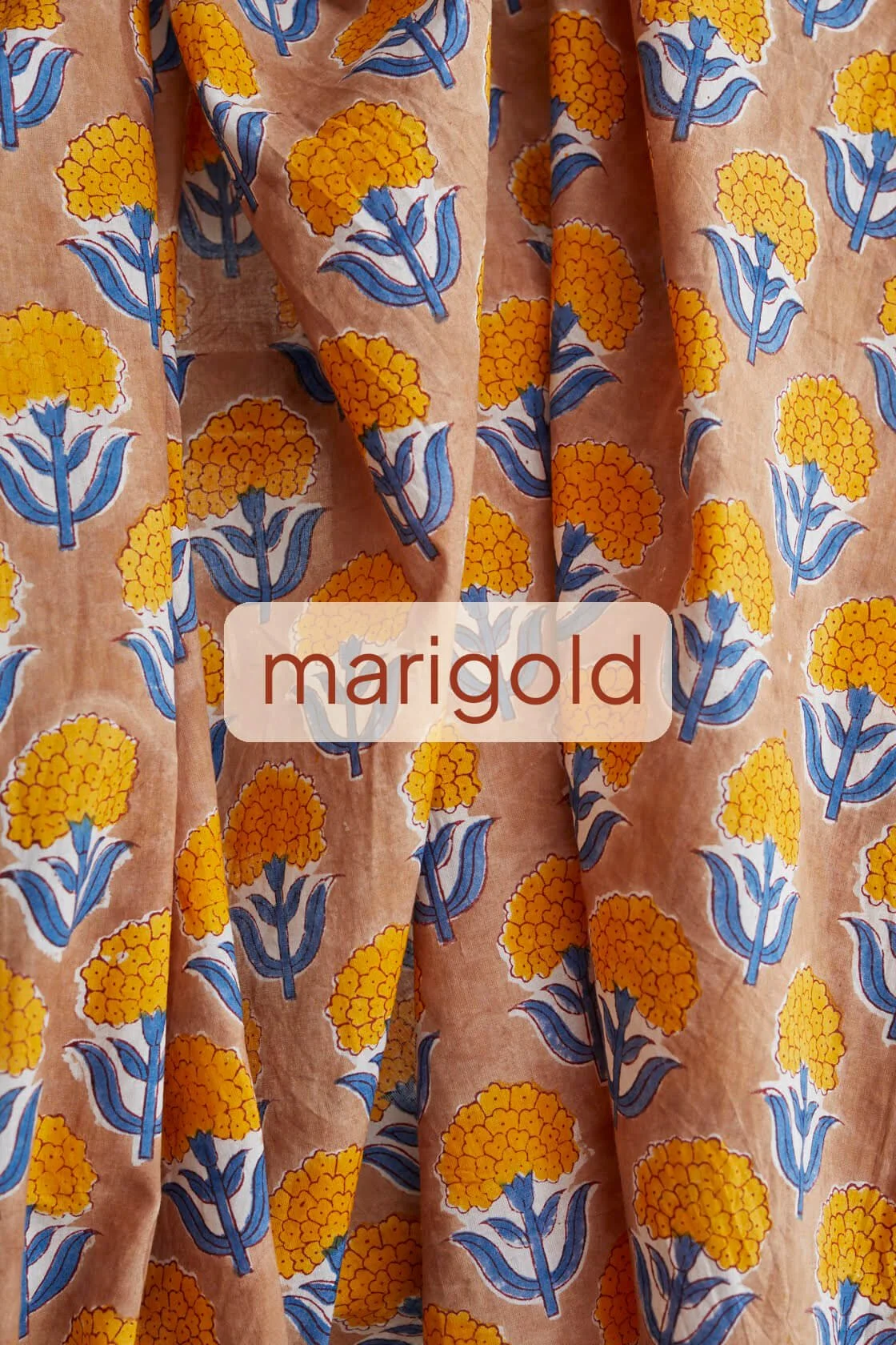 marigold.jpg