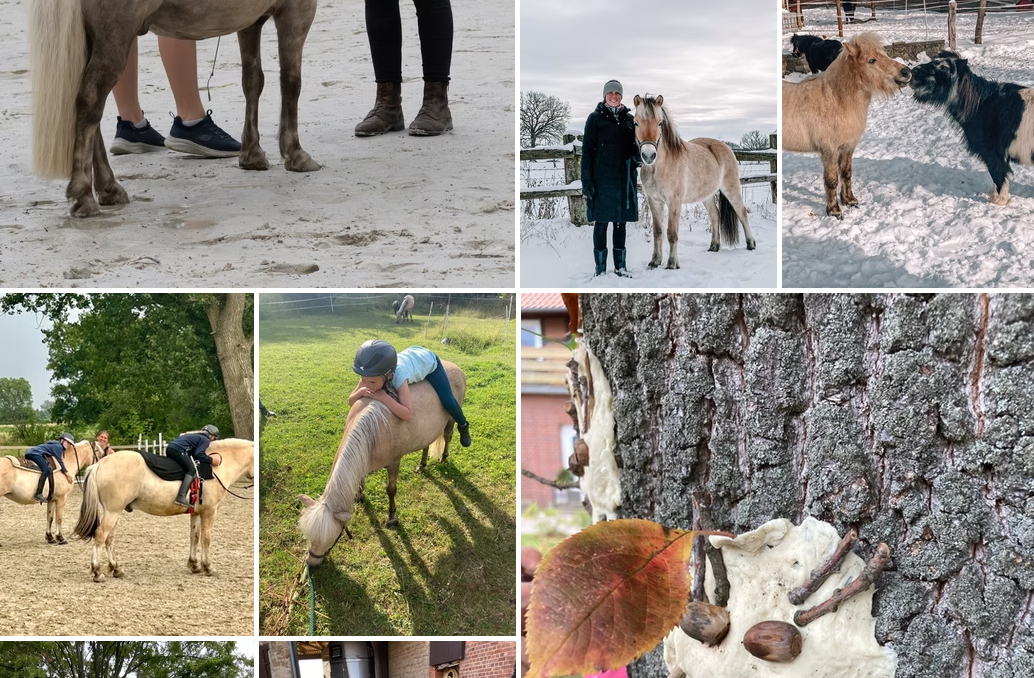Impressionen