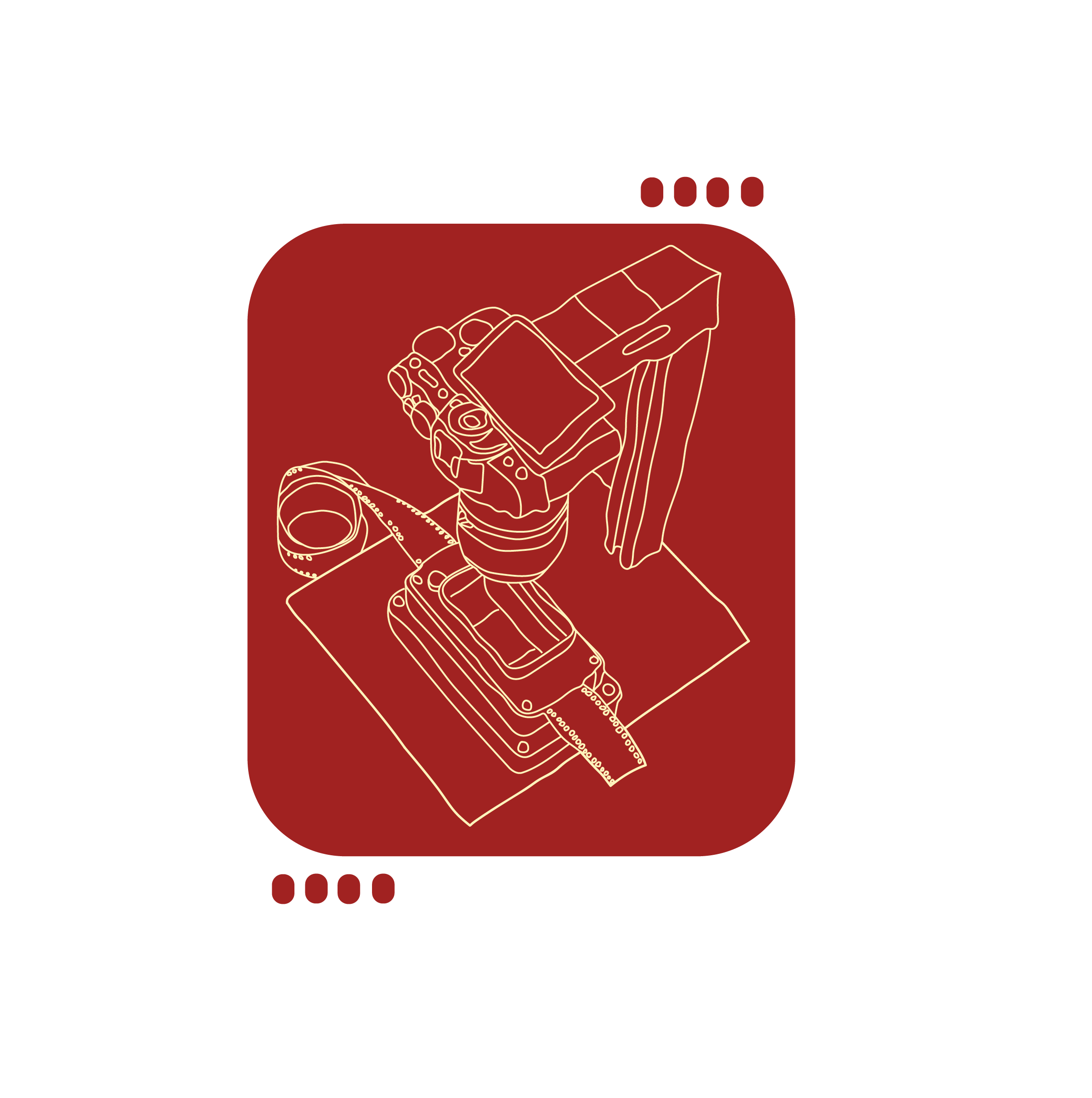 Camera Scanning