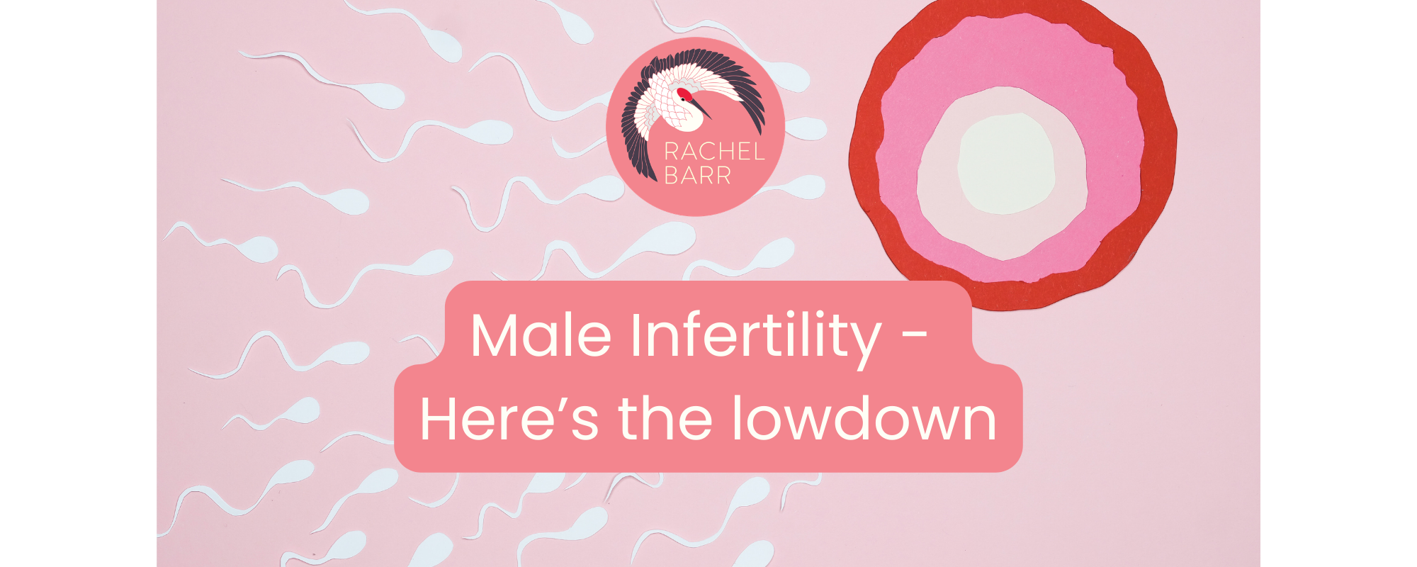 Male Infertility - Here’s the low down