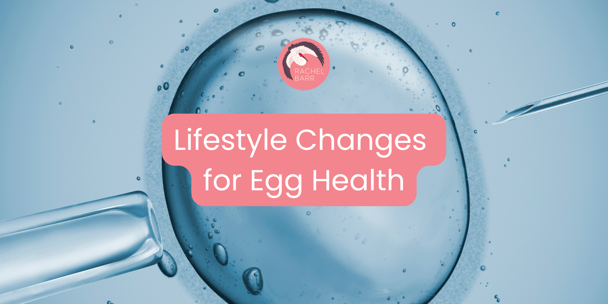 Lifestyle Changes for Egg Health