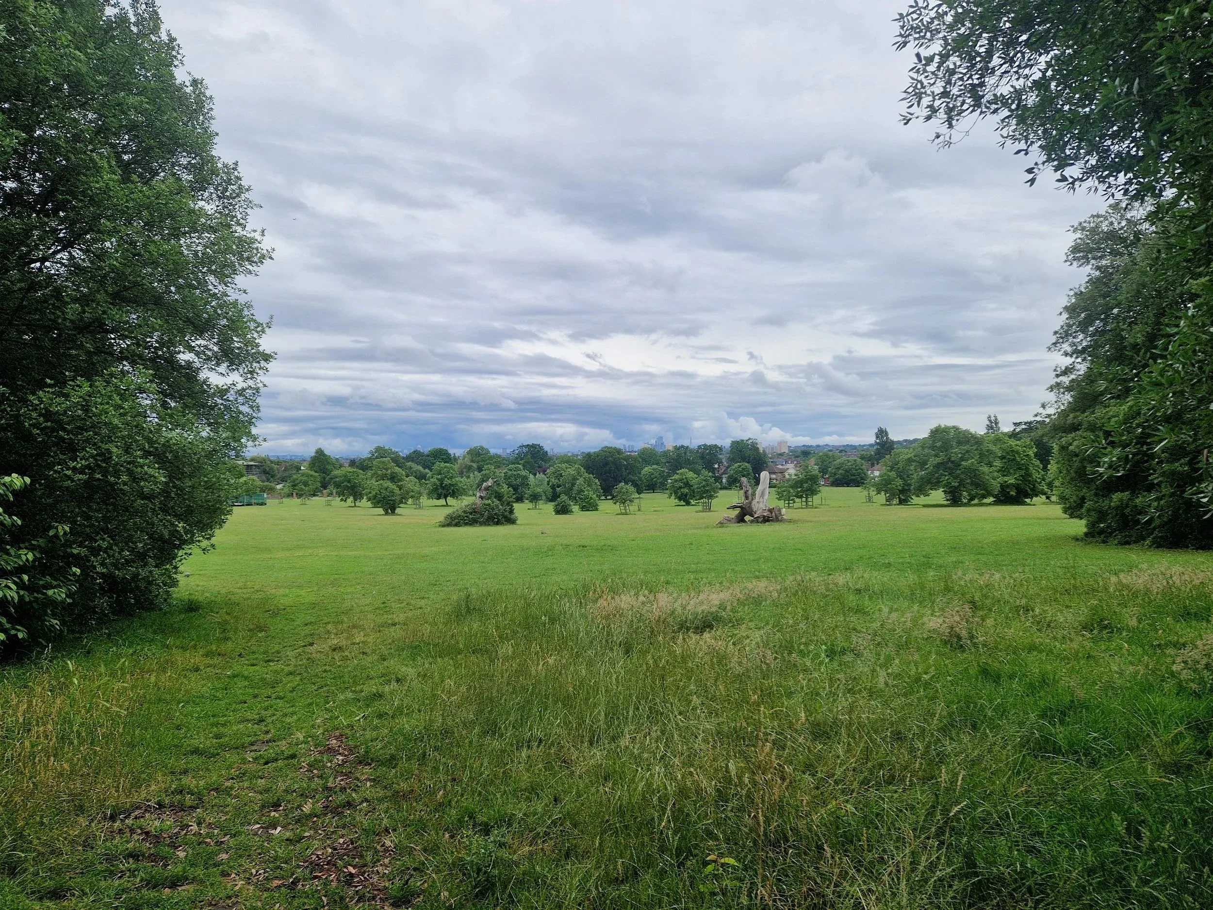 Wednesday Wellness Walks