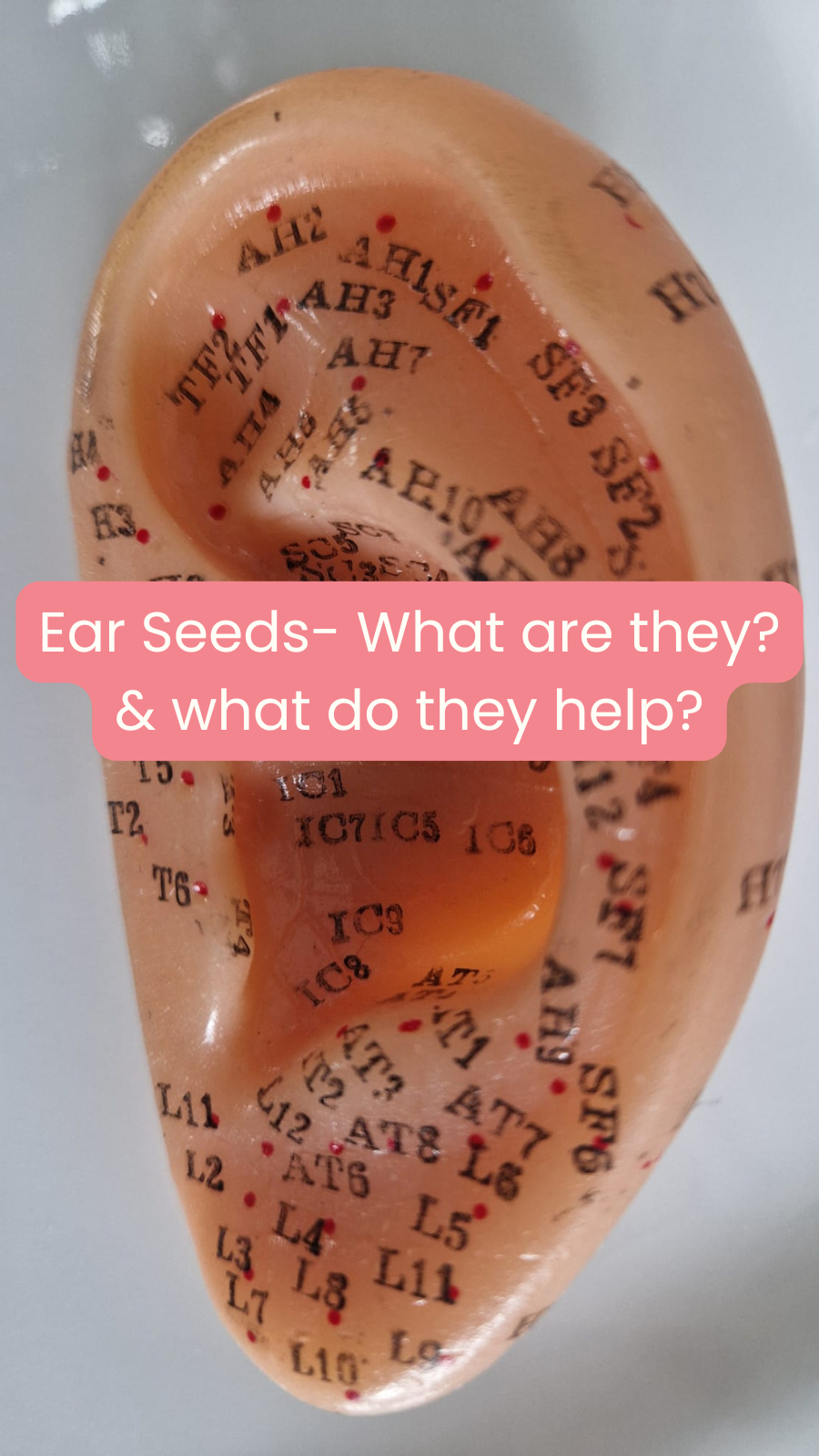 Ear Seeds- What are they? And what do they do?