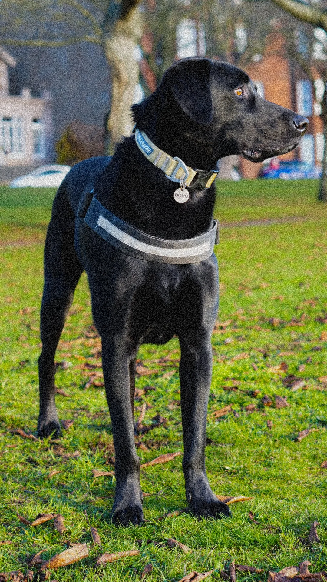 DSC02736.jpg