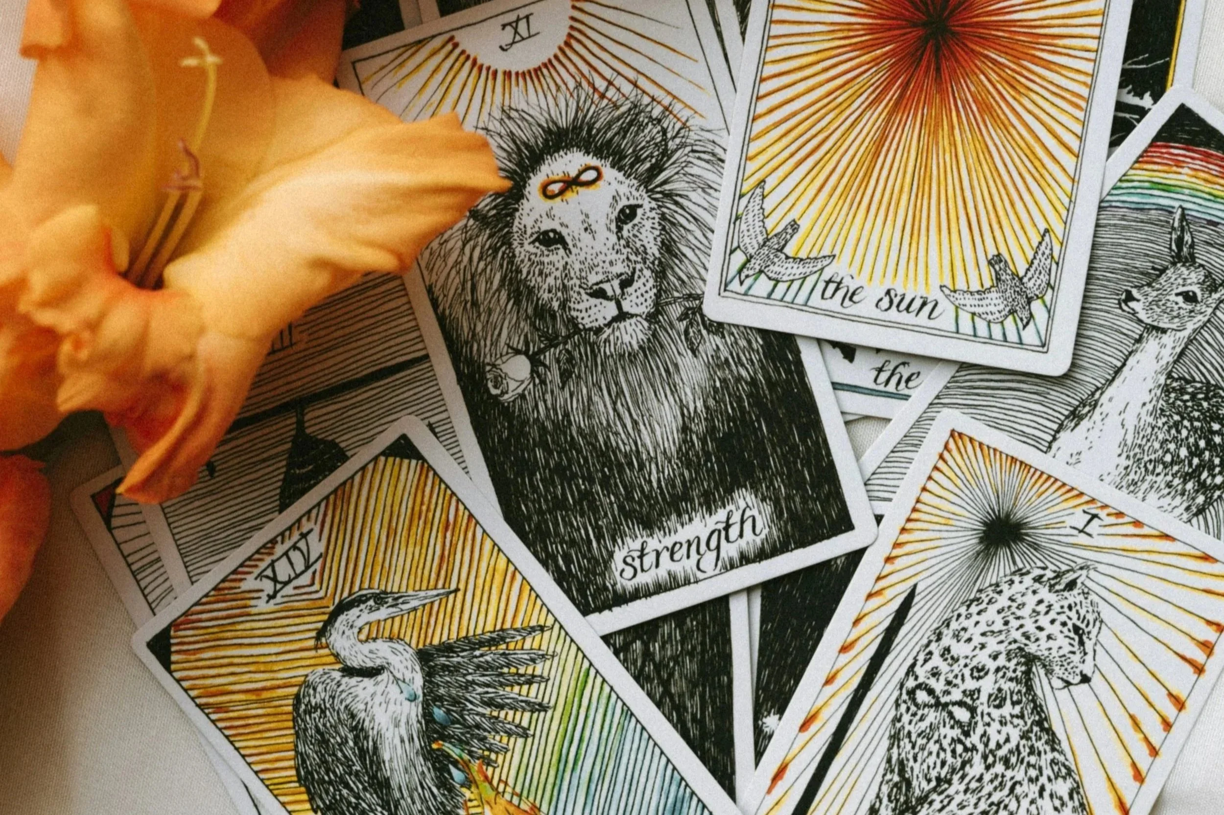 Cartas del tarot con ilustraciones de animales y elementos naturales, como un león, un pavo real, un gato y un ciervo, con rayos de sol y aves en el fondo, en colores negro y detalles en naranja y azul.