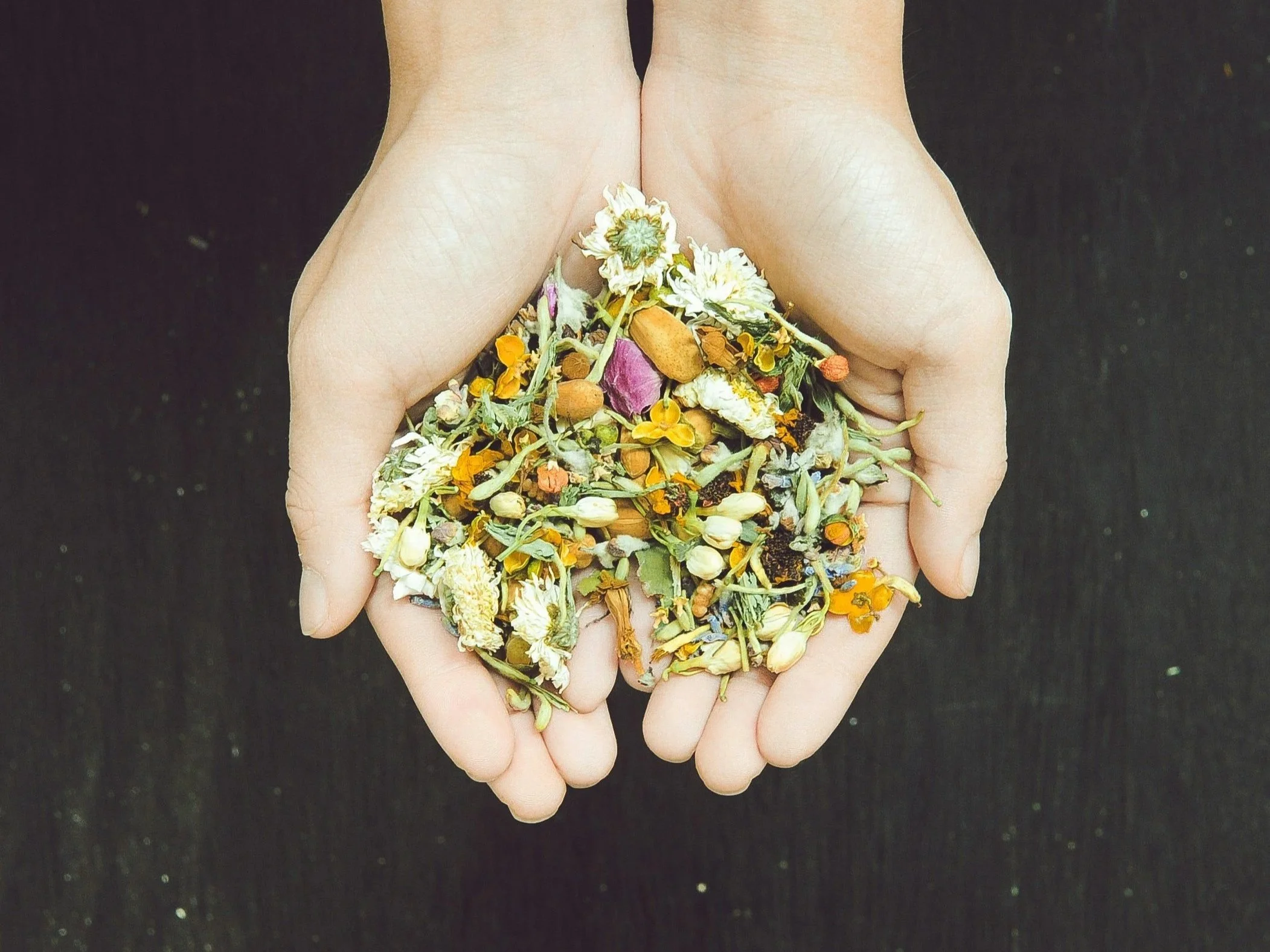 Manos sosteniendo una mezcla de flores secas y plantas en un fondo oscuro.