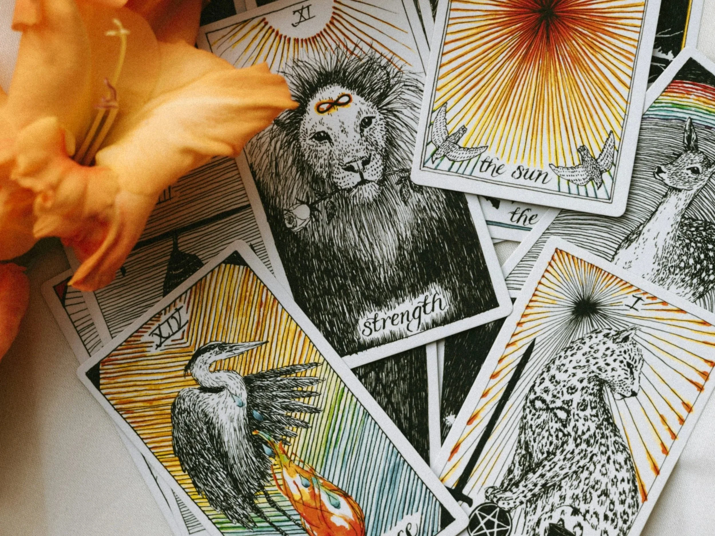 Tarot evolutivo (Lectura simple)