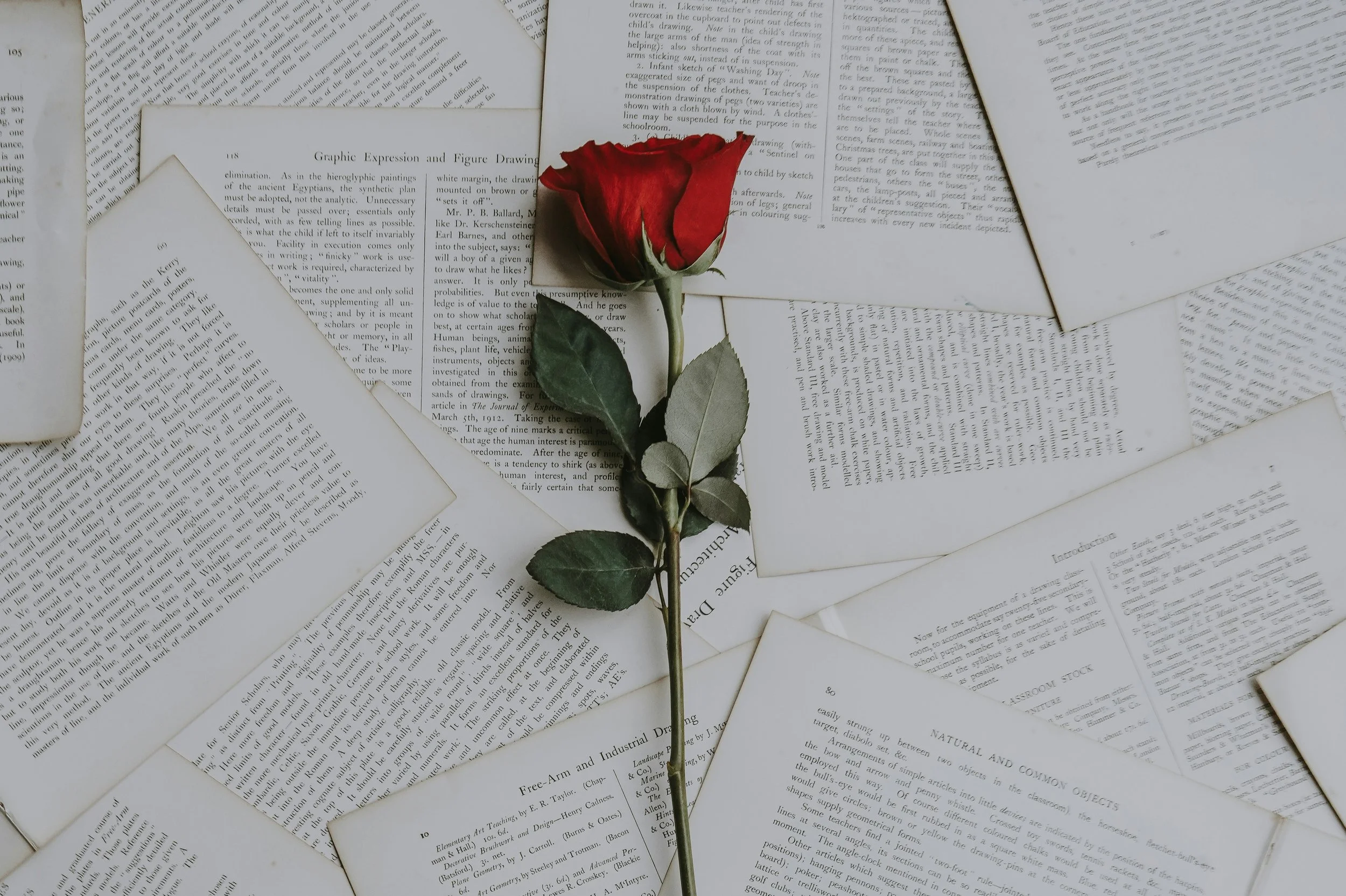 Tarot Evolutivo Relaciones