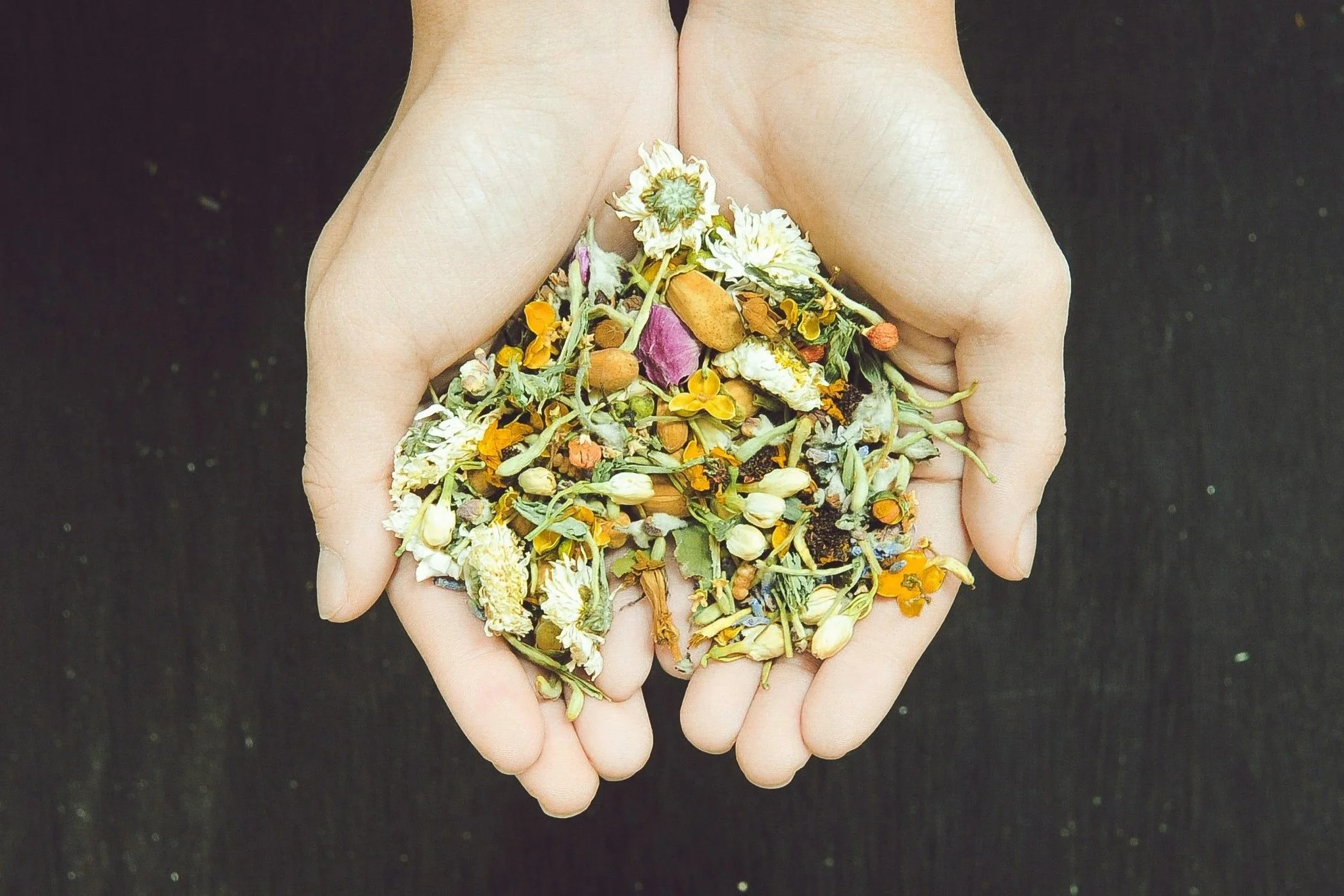Manos juntas sosteniendo una mezcla de hierbas y flores secas sobre fondo negro.
