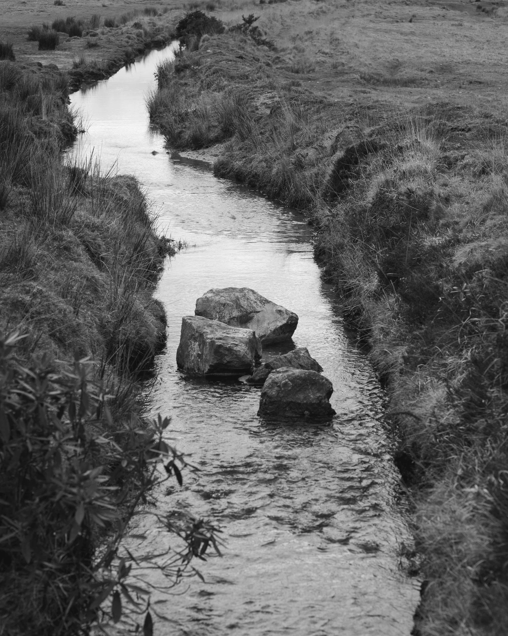 A narrow stream of water flowing through a grassy landscape with rocks in the foreground and bushes along the banks.