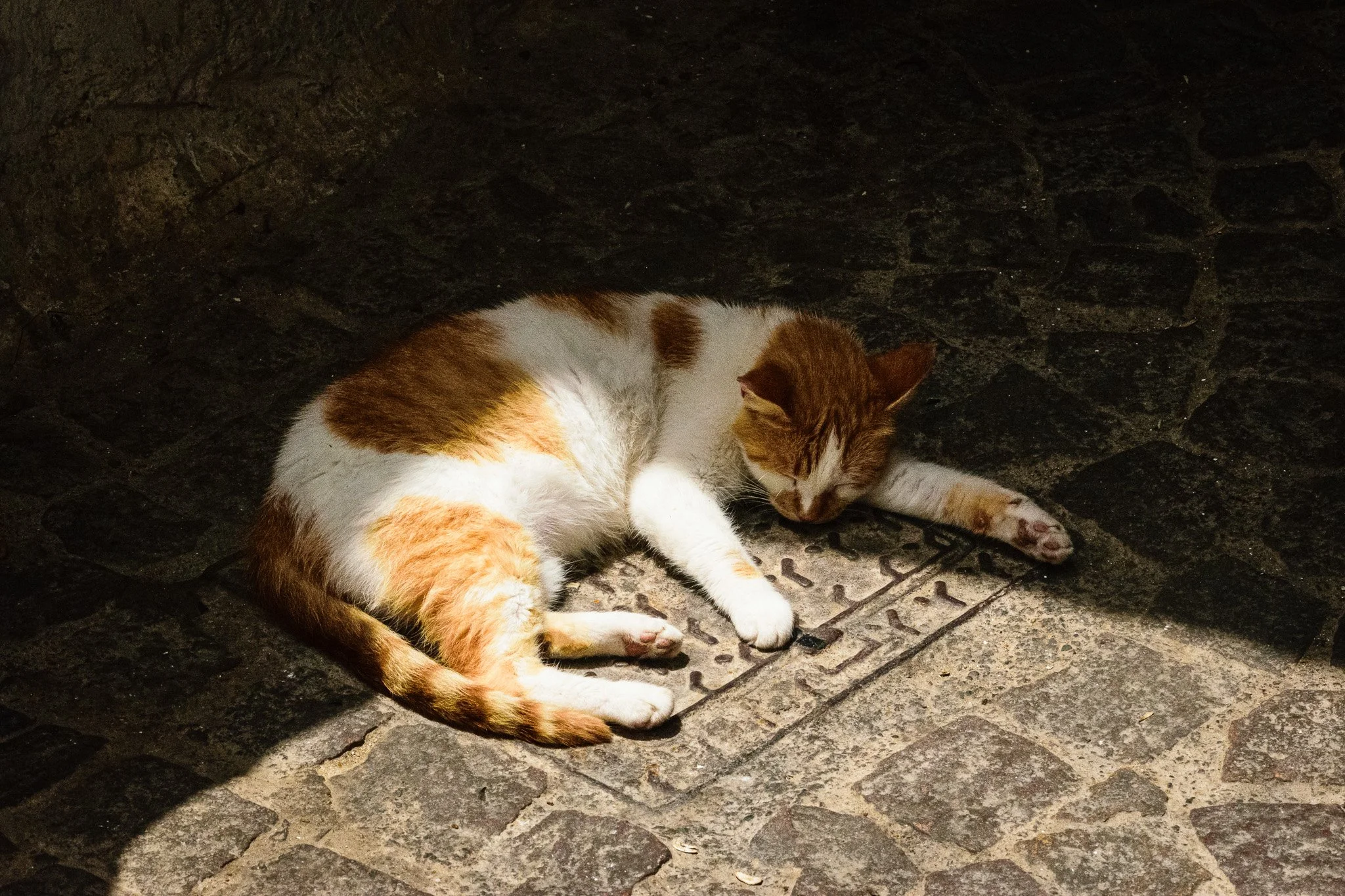 A ginger and white cat lying on a cobblestone street at night, curled up and resting.