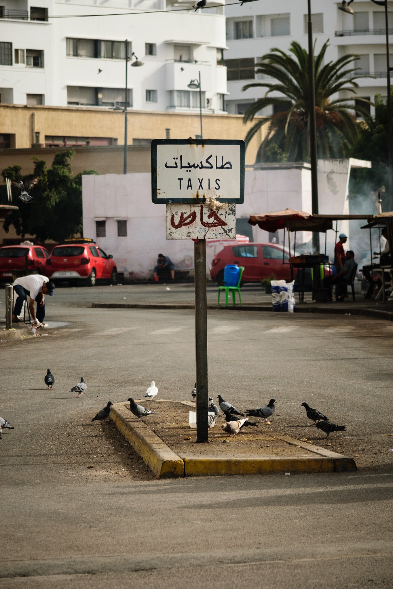 A street scene with a sign that reads 'TAXIS' in English and Arabic, pigeons on the pavement, cars parked in the background, and a few people sitting or walking near small street stalls. There are tall buildings, a palm tree, and street lamps visible