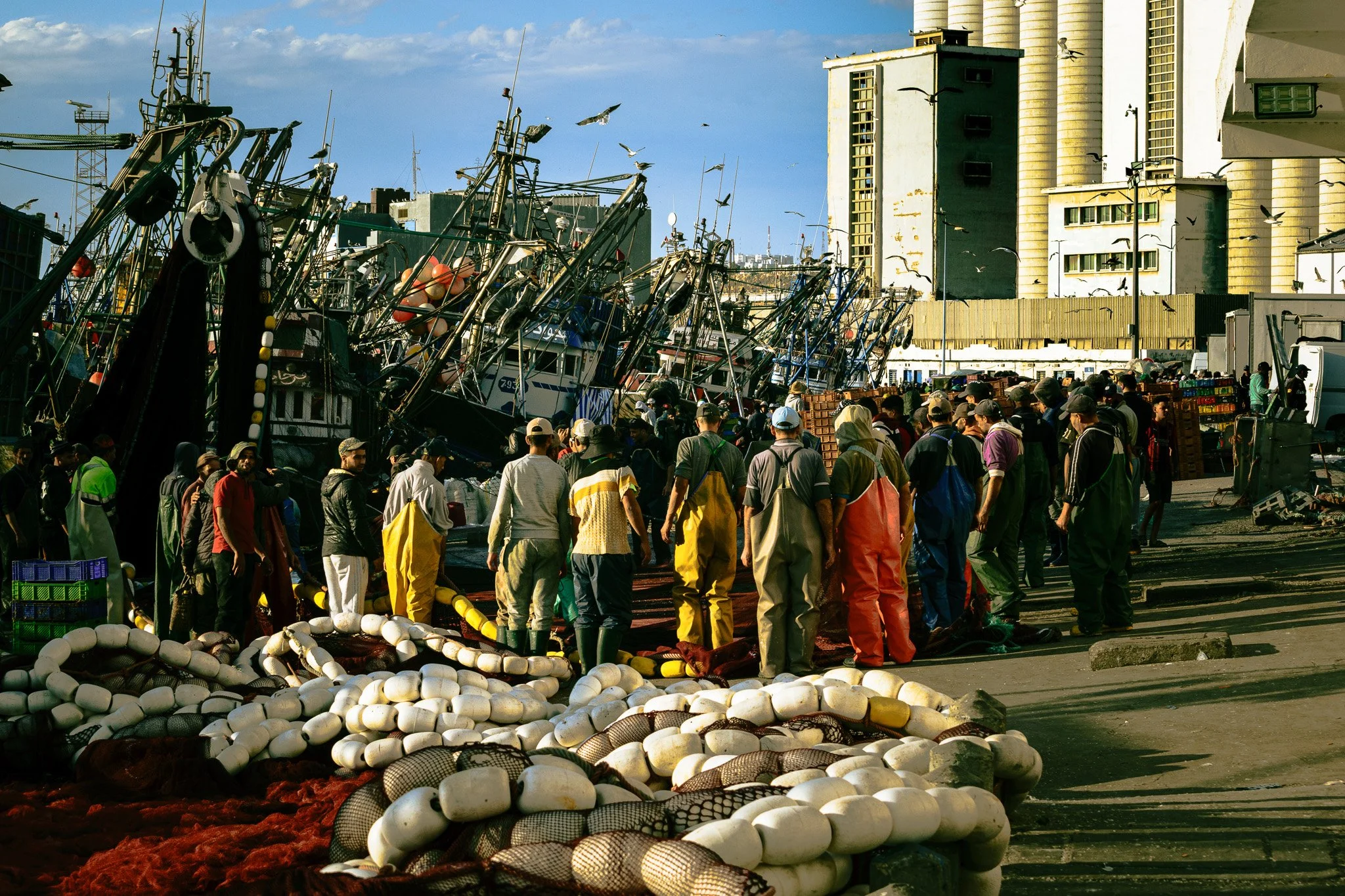 A busy fishing harbor with numerous fishing boats docked, fishing nets, and a crowd of people, some wearing hats, gathered near the boats. Buildings and seagulls are visible in the background under a partly cloudy sky.