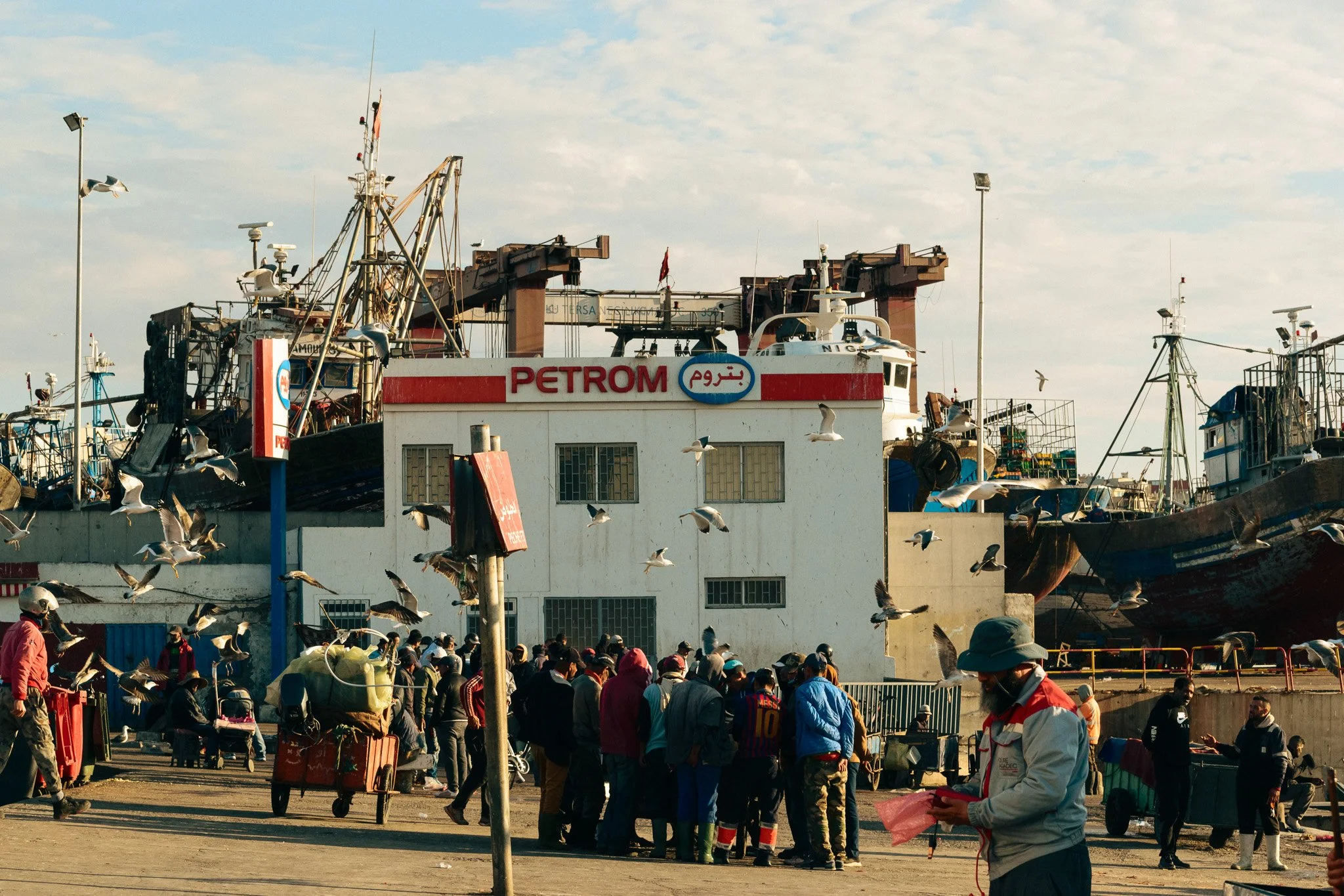 A busy outdoor scene at a harbor with people waiting in line, seagulls flying, boats docked, and a building with a sign that reads 'PETROM' in red and blue.