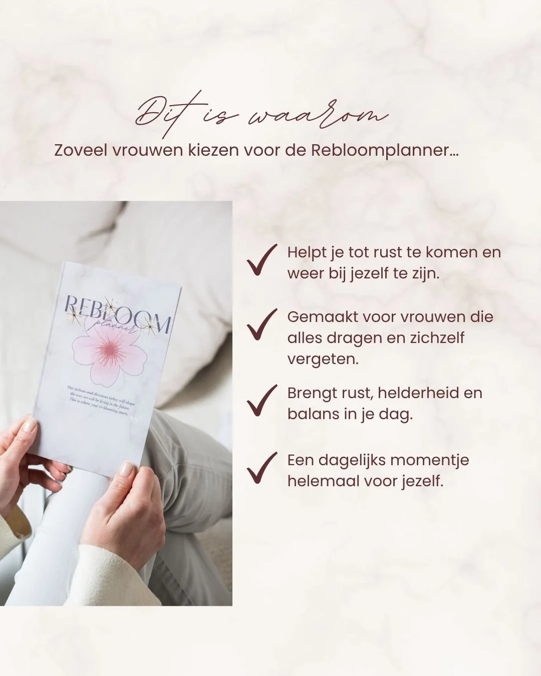 (Nederlands) (2).jpg