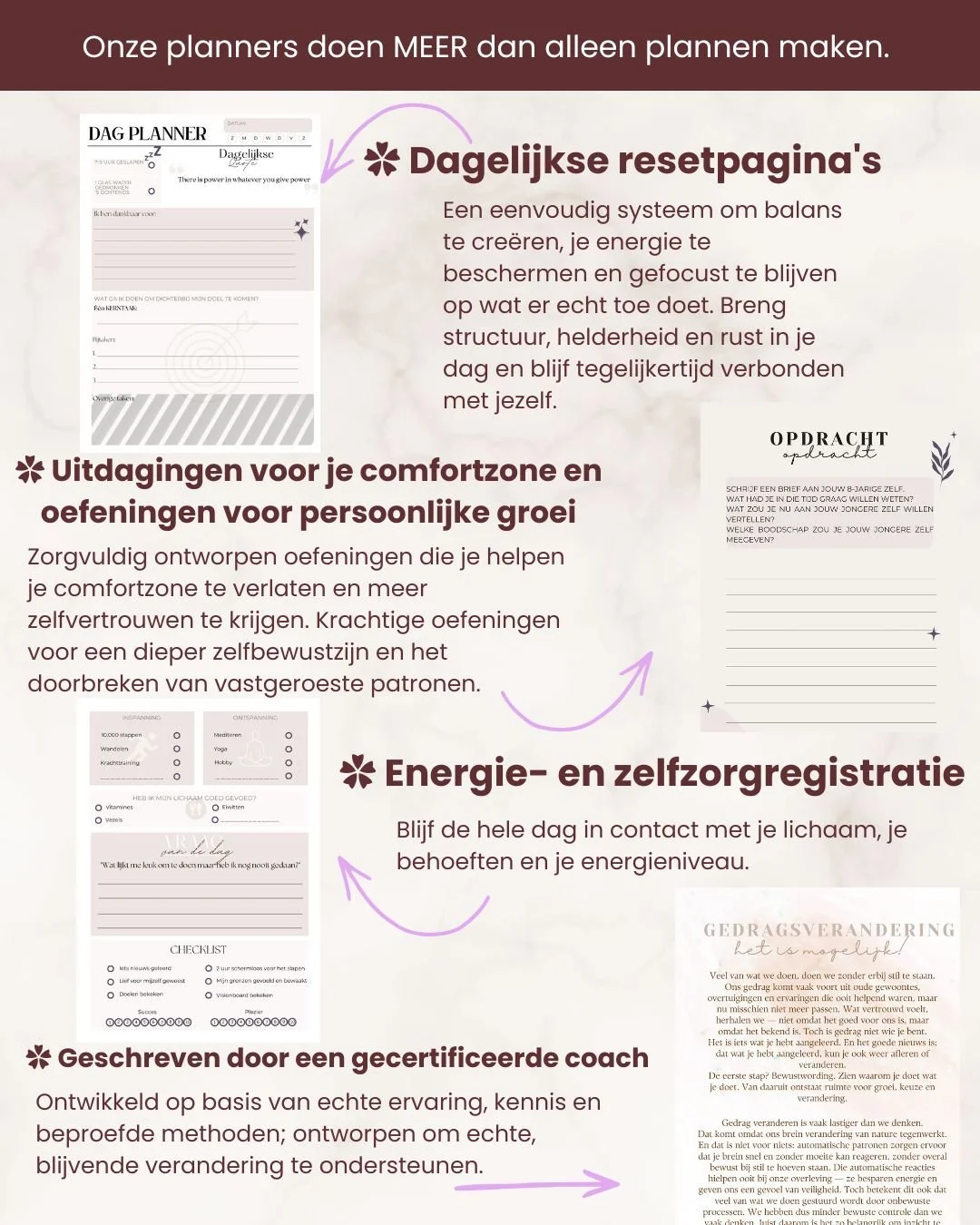 (Nederlands) (4).jpg