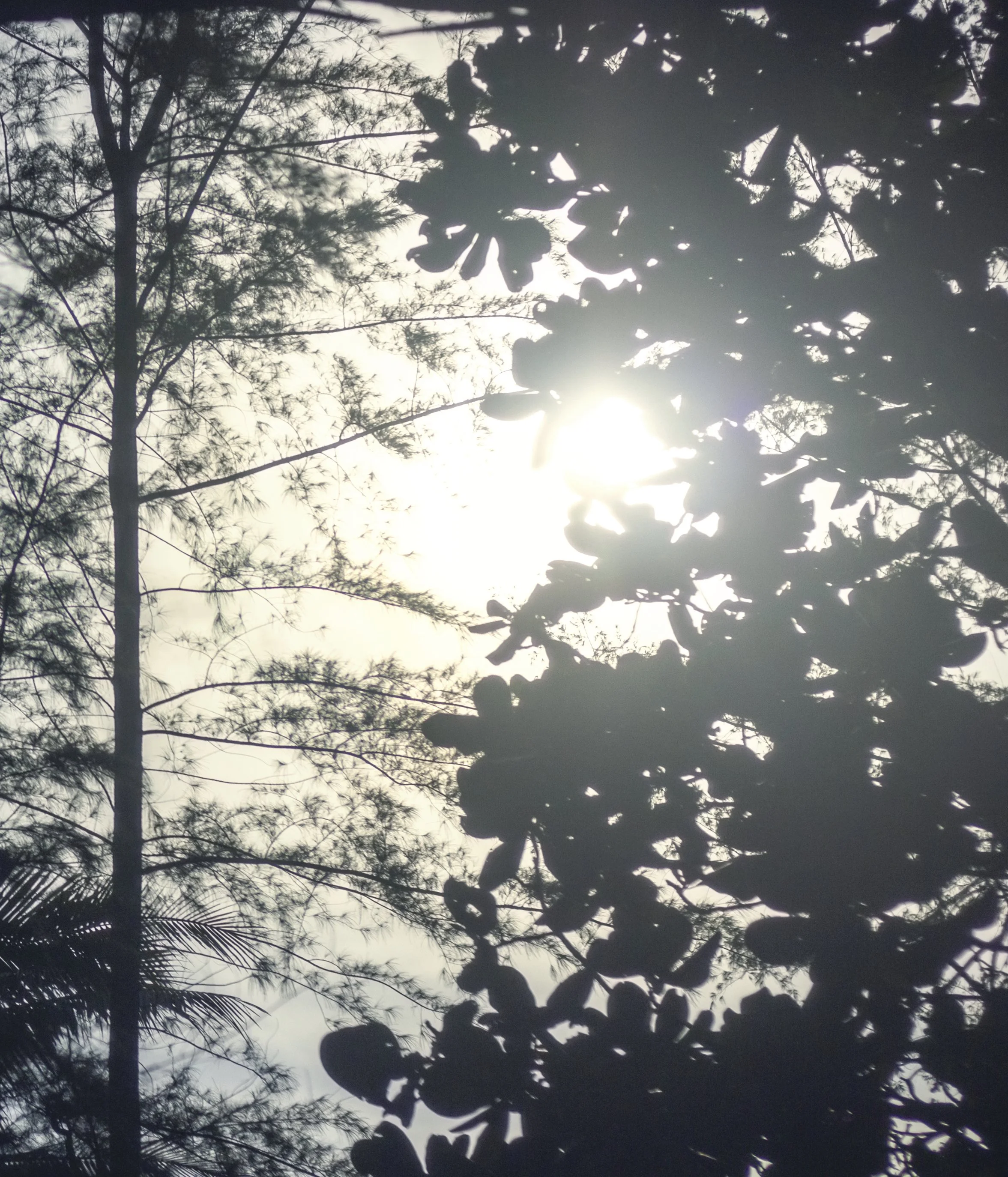 Mindful Reflections from the Therapy Room