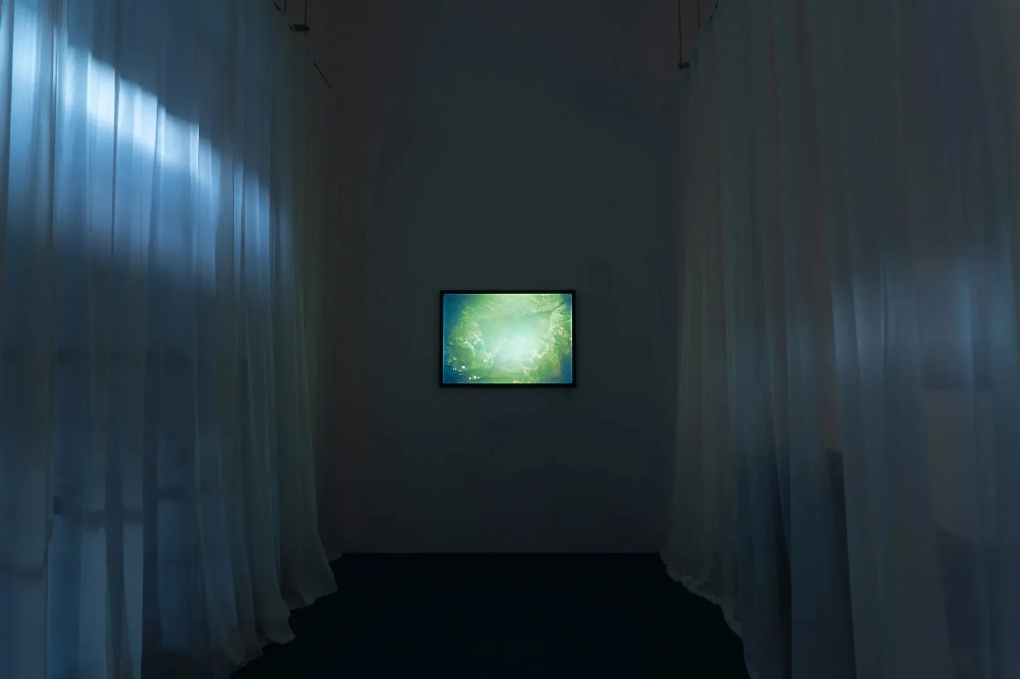 An art installation features a framed digital image of a lush green forest with sunlight shining through the trees, displayed on a wall in a dark room with sheer white curtains hanging on the sides.