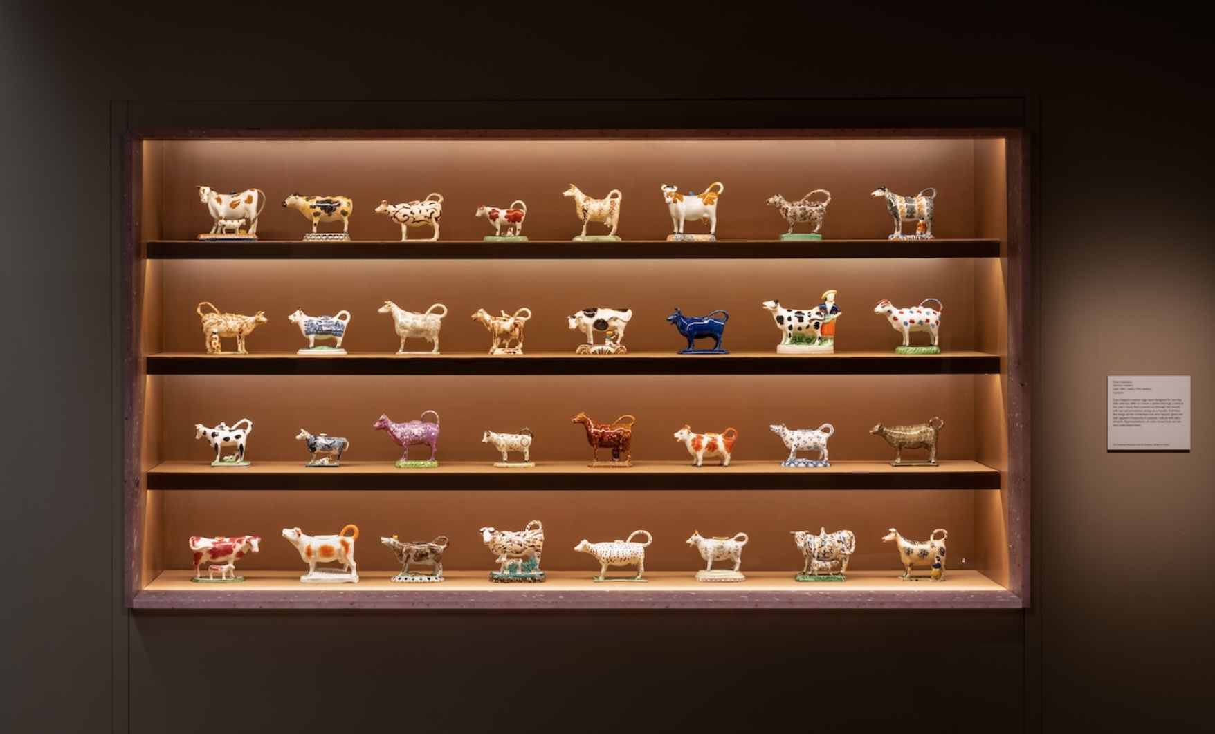 A display shelf with multiple colorful cow figurines arranged in rows inside a museum, with mounted lighting highlighting each piece.