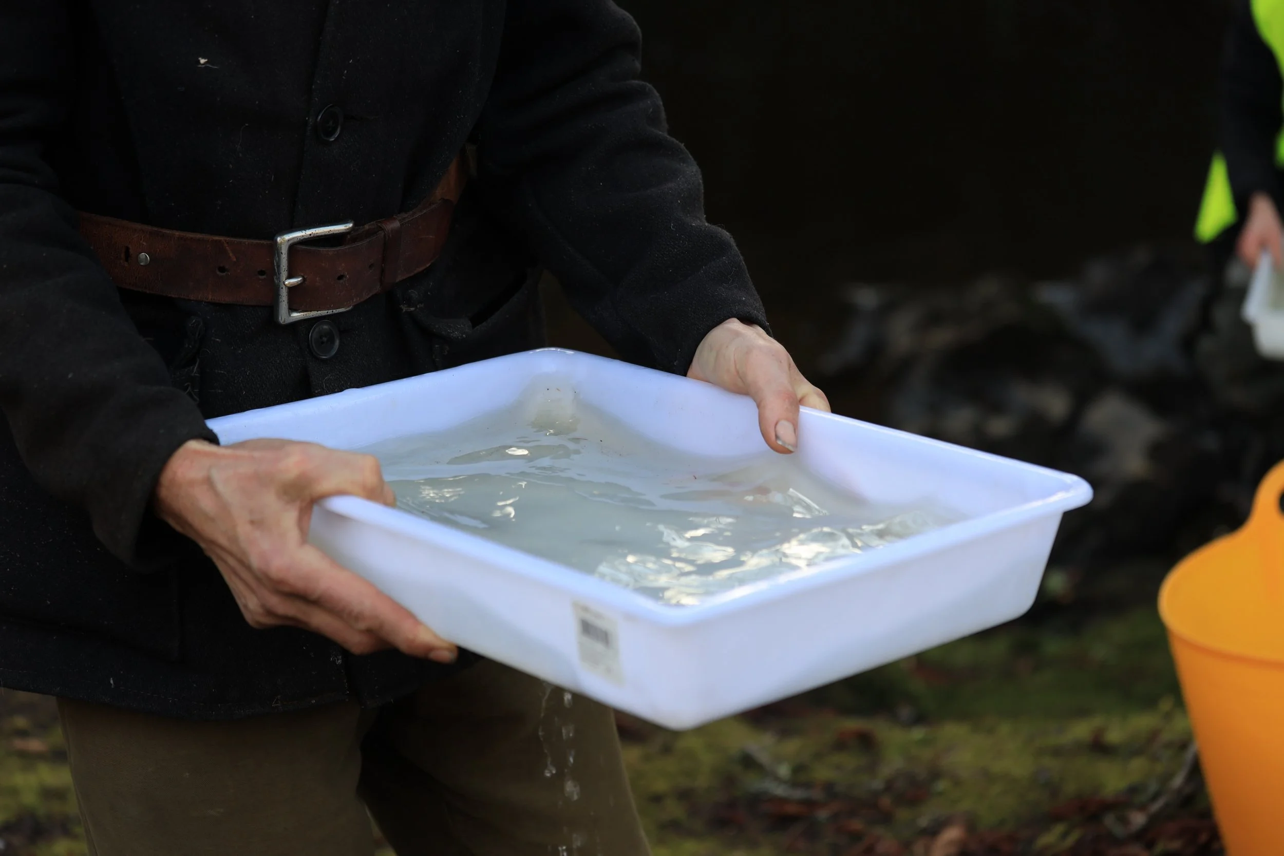 003 ^Tend james kelly.jpg