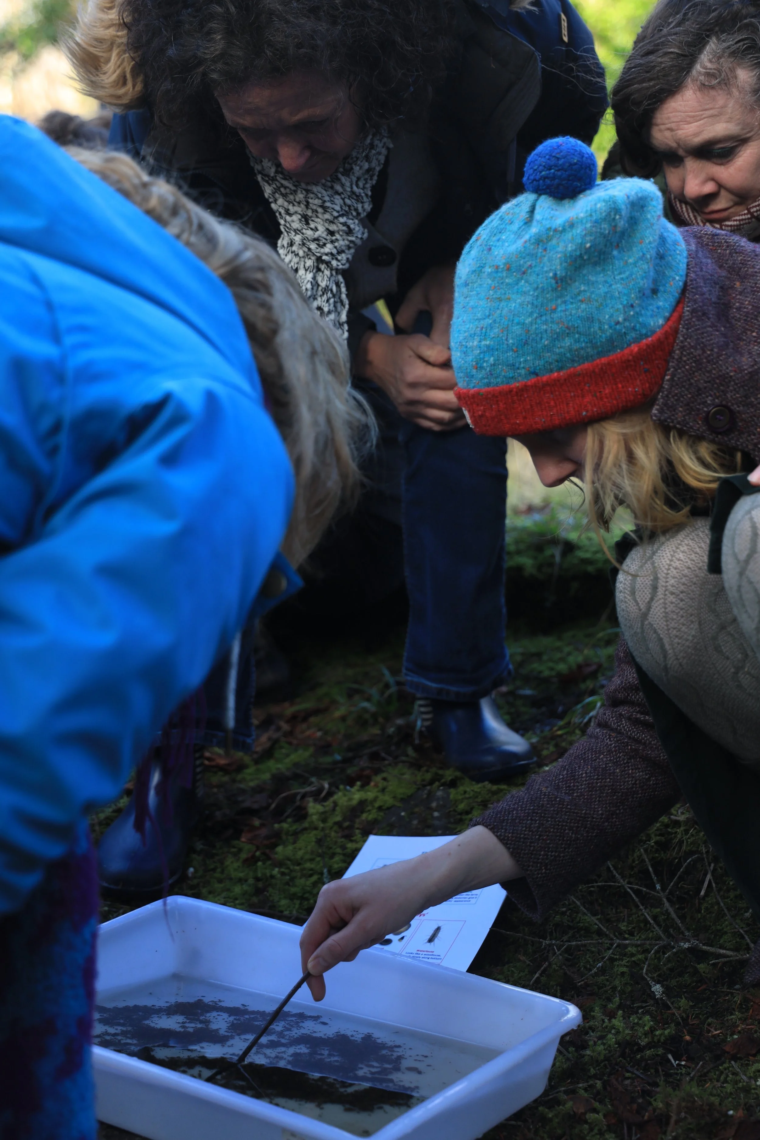 004 ^Tend james kelly.jpg