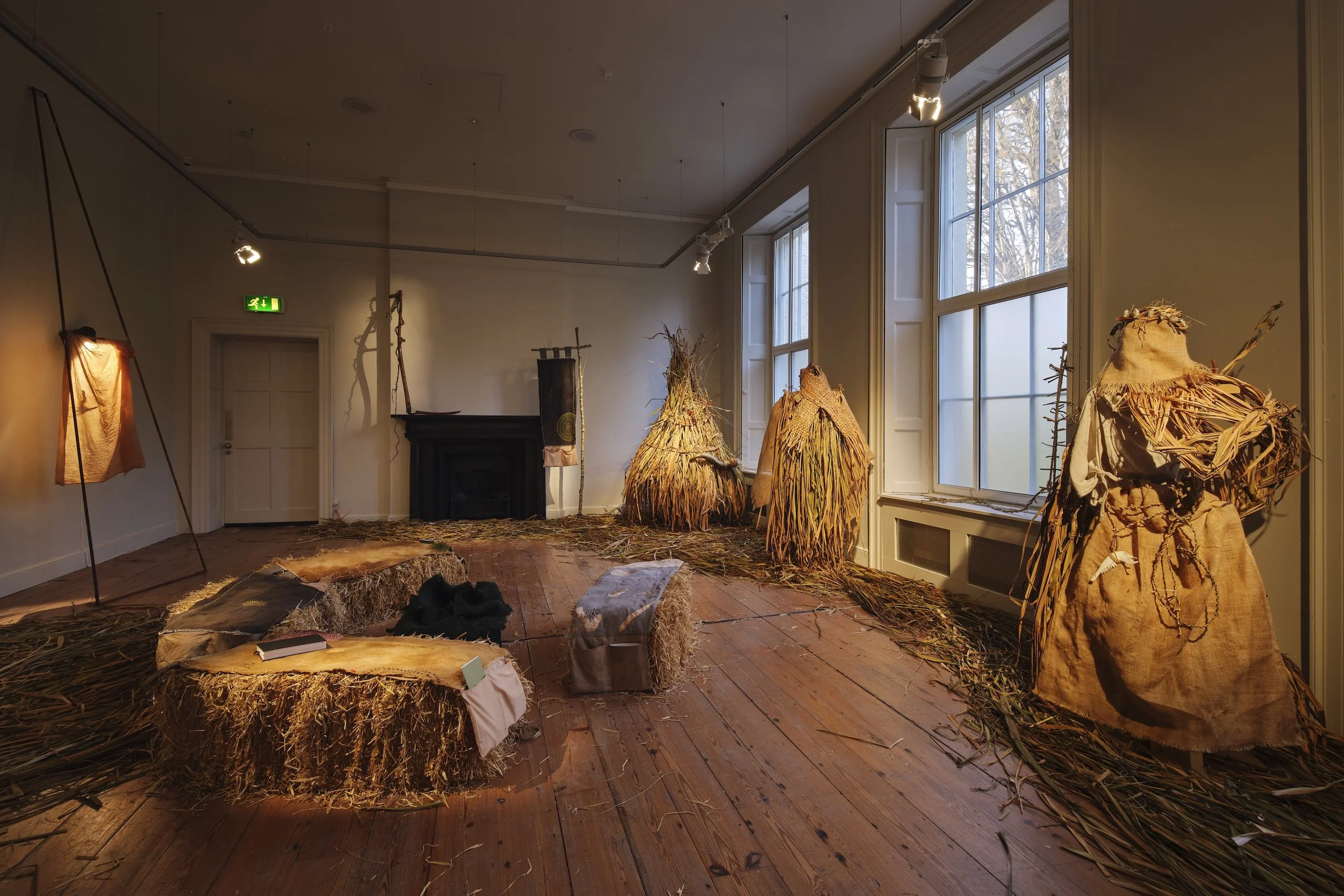 DAC1225EX094 (1).jpg