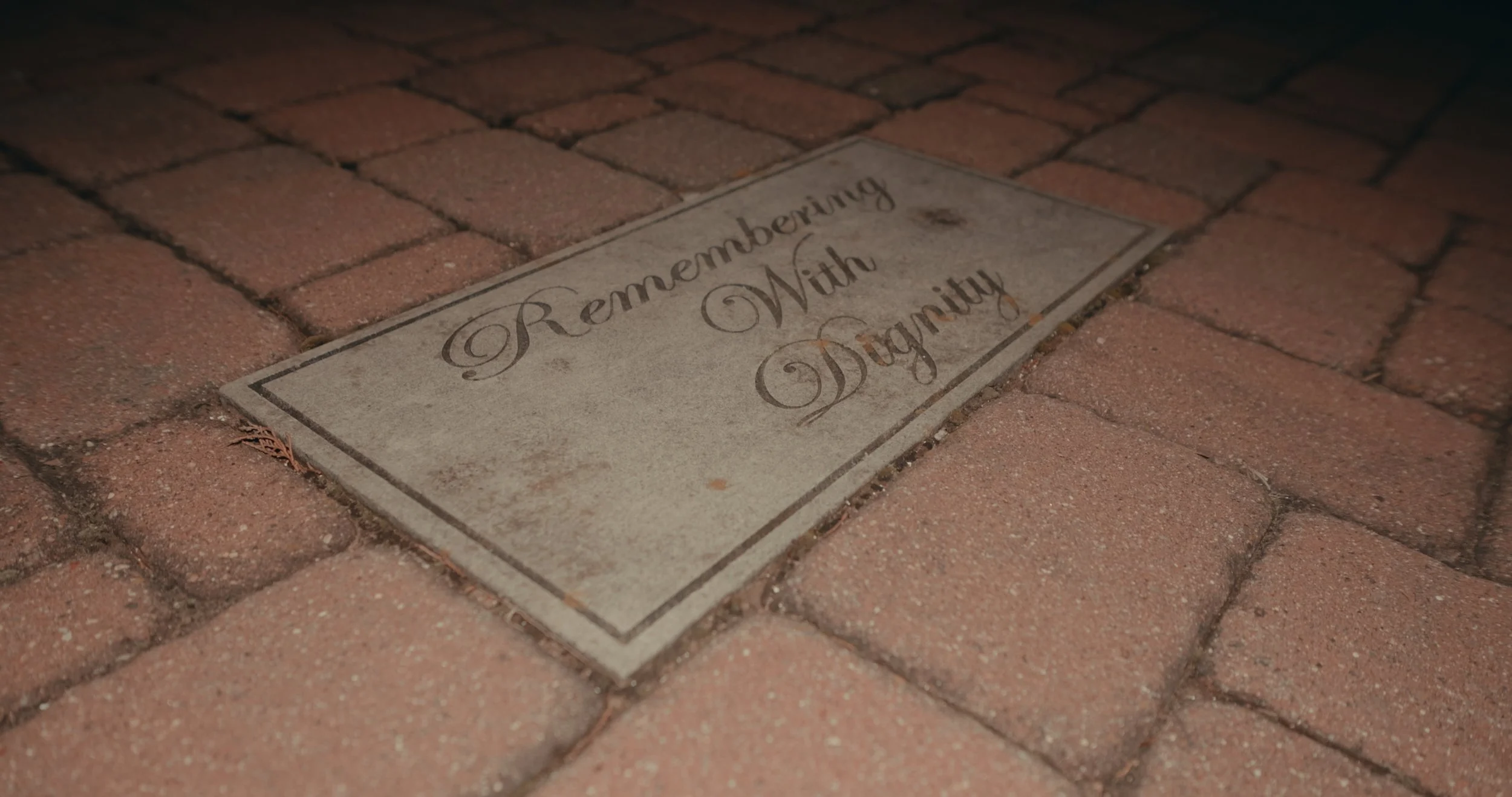 Still 2026-02-26 203339_2.5.1.jpg