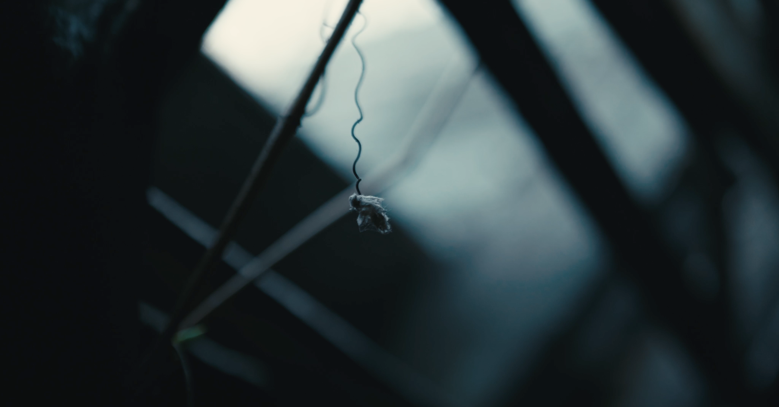 Screenshot 2025-05-29 at 8.48.23 PM.png