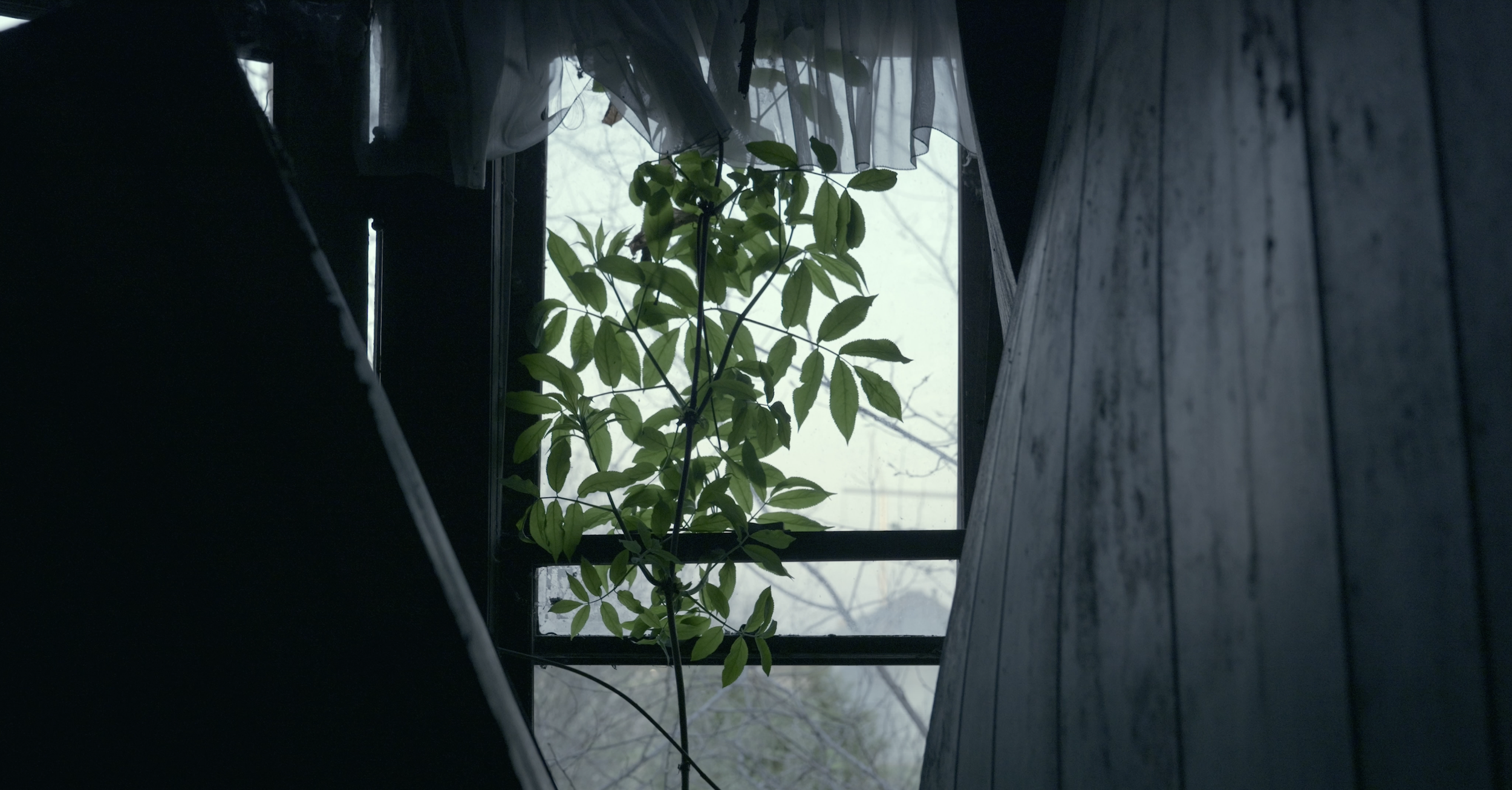 Screenshot 2025-05-29 at 8.47.45 PM.png