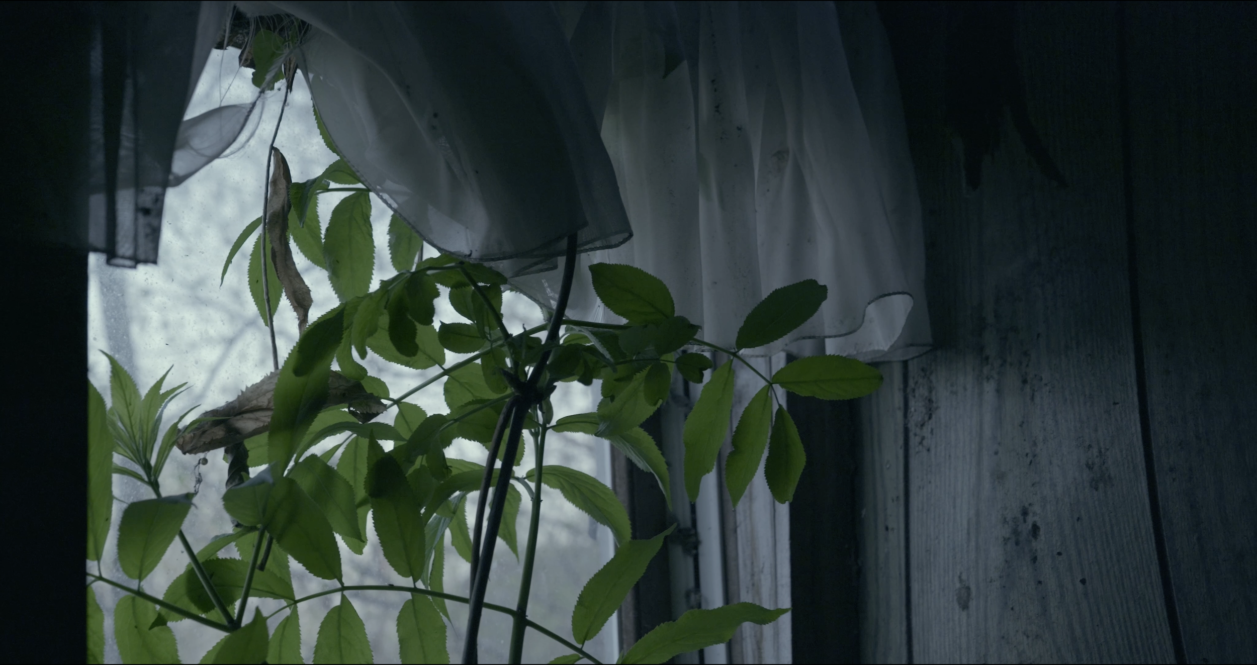 Screenshot 2025-05-29 at 8.46.35 PM.png