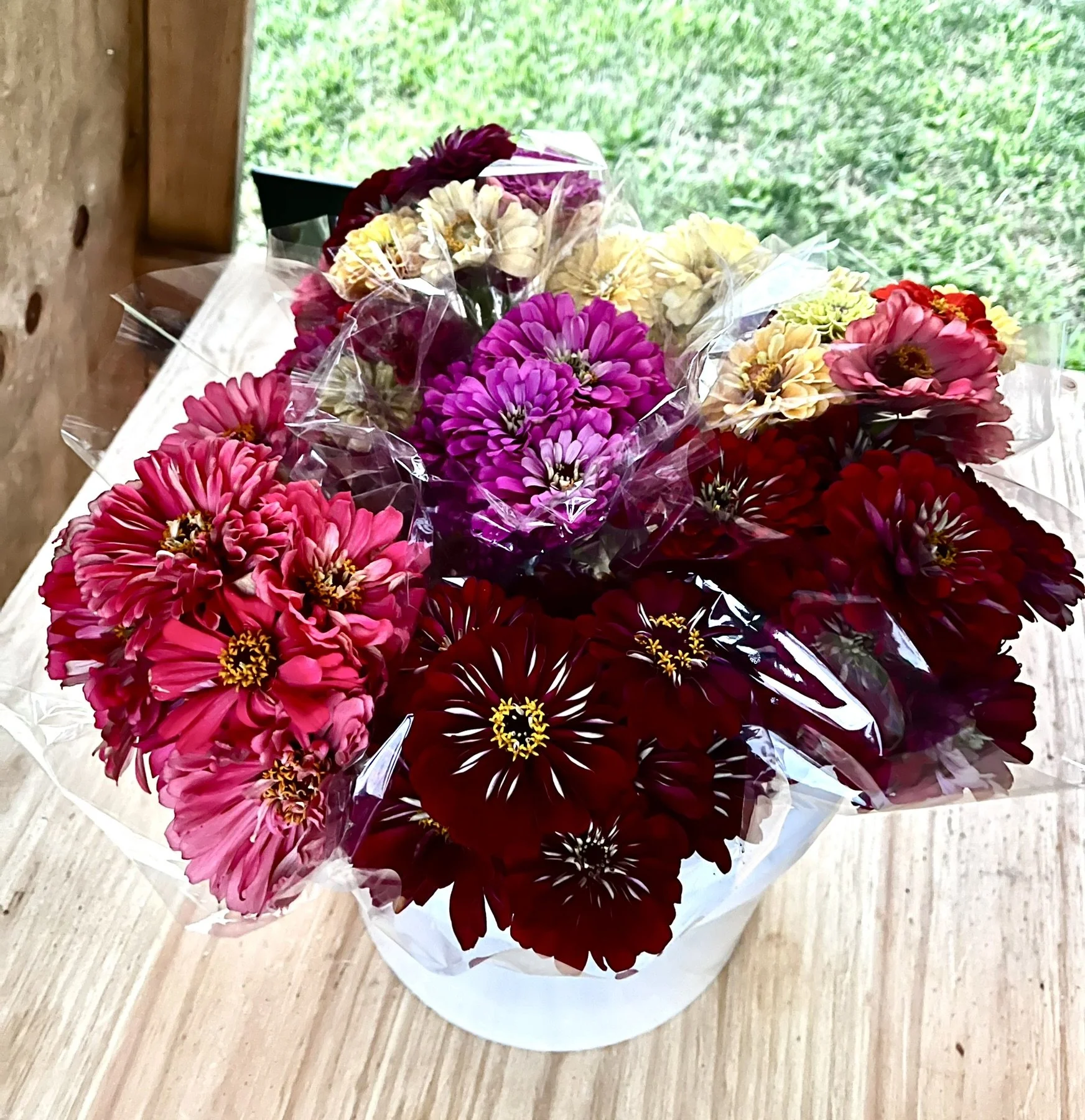 Zinnia Mix - 50 STEMS