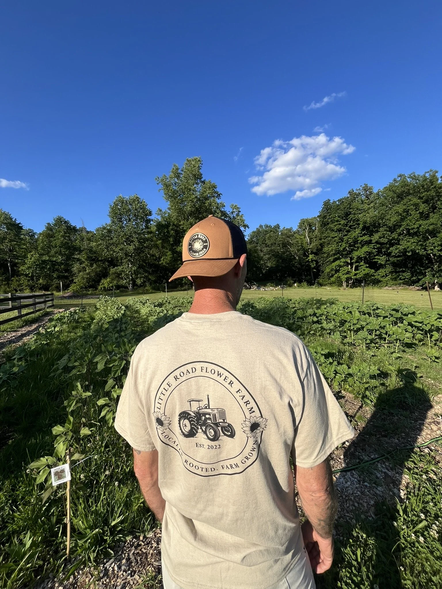 the men's tee