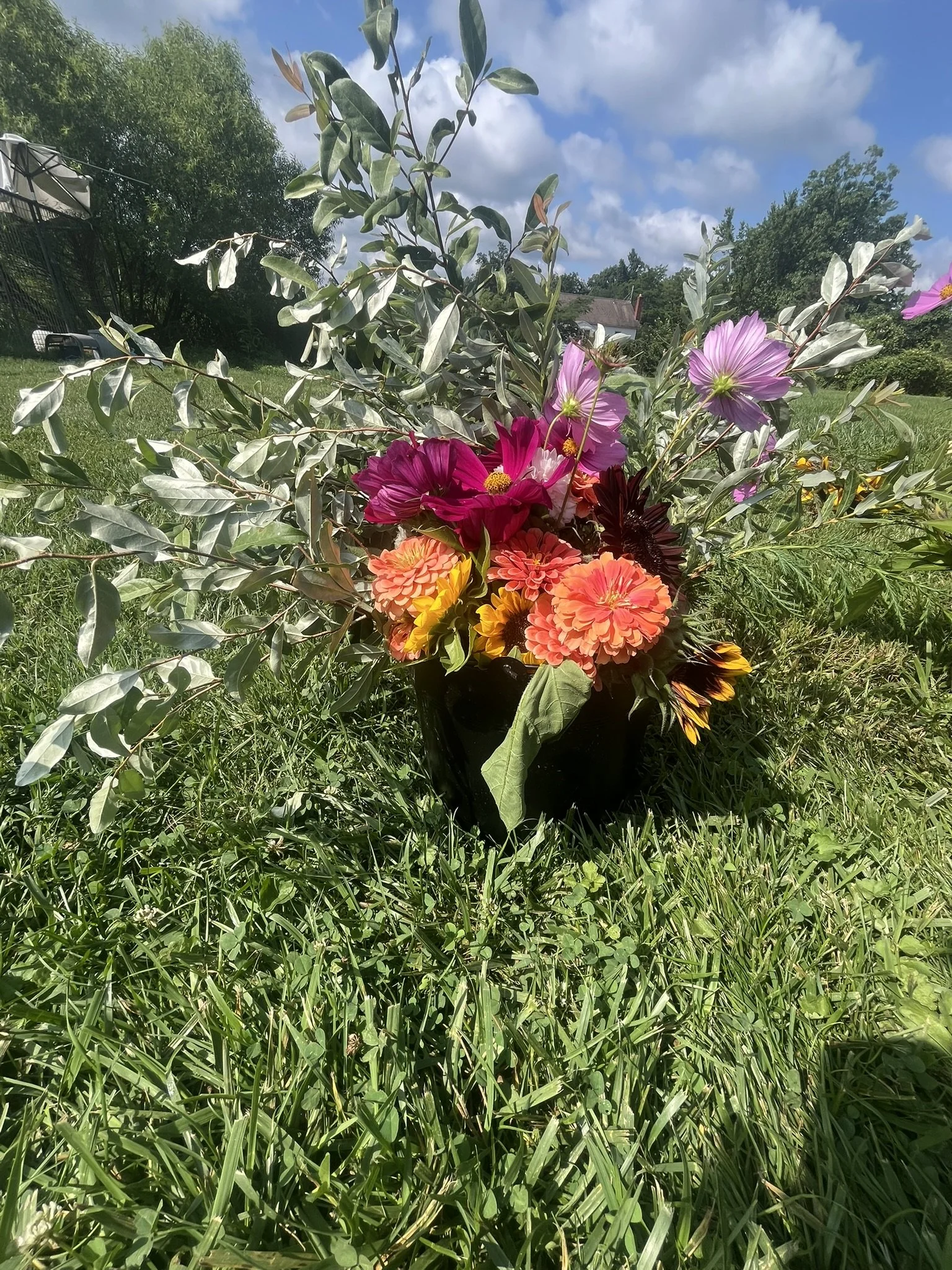 IMG_9110.JPEG