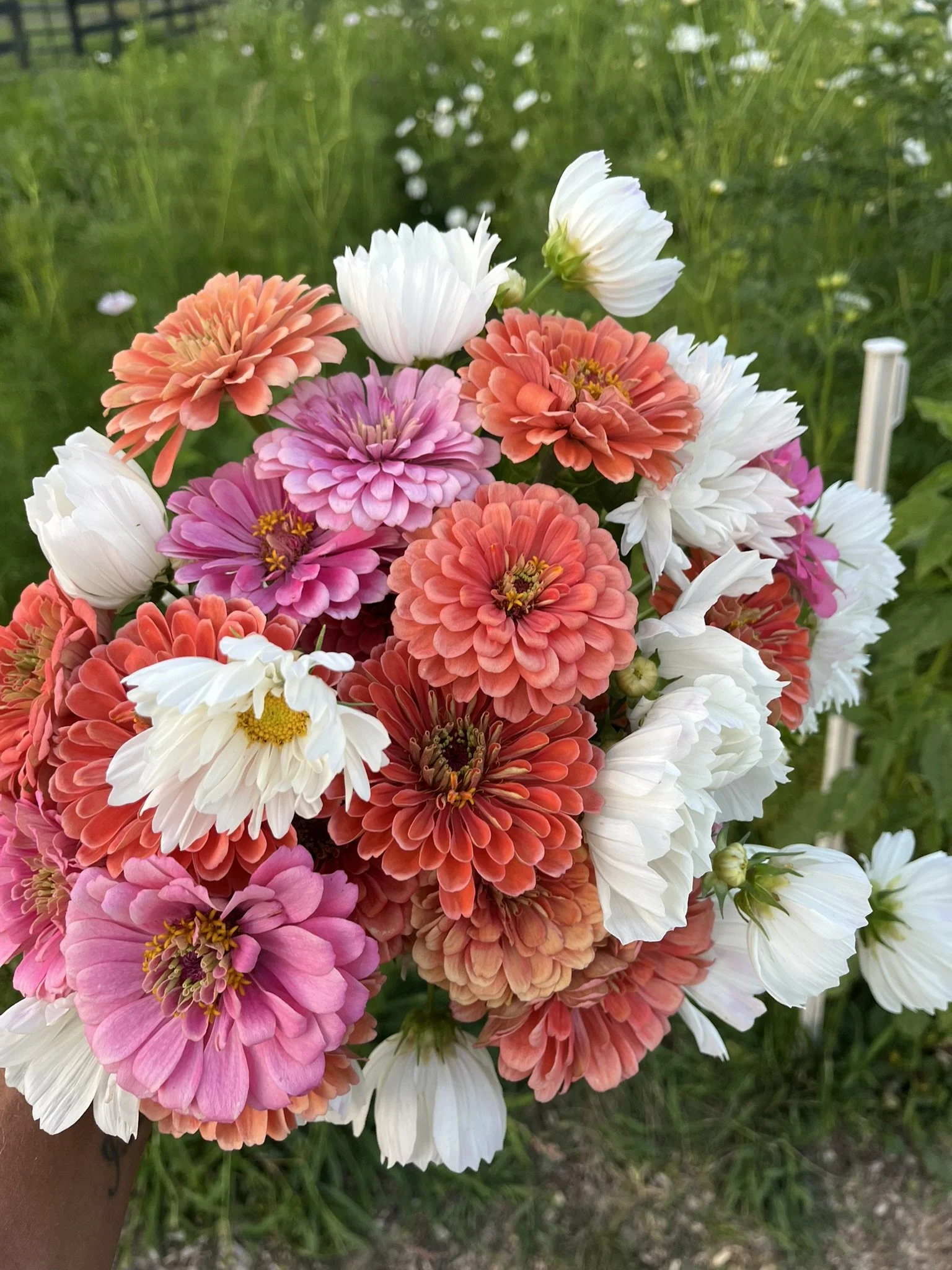 SEASONAL DIY DESIGN BUCKET - 50 STEMS