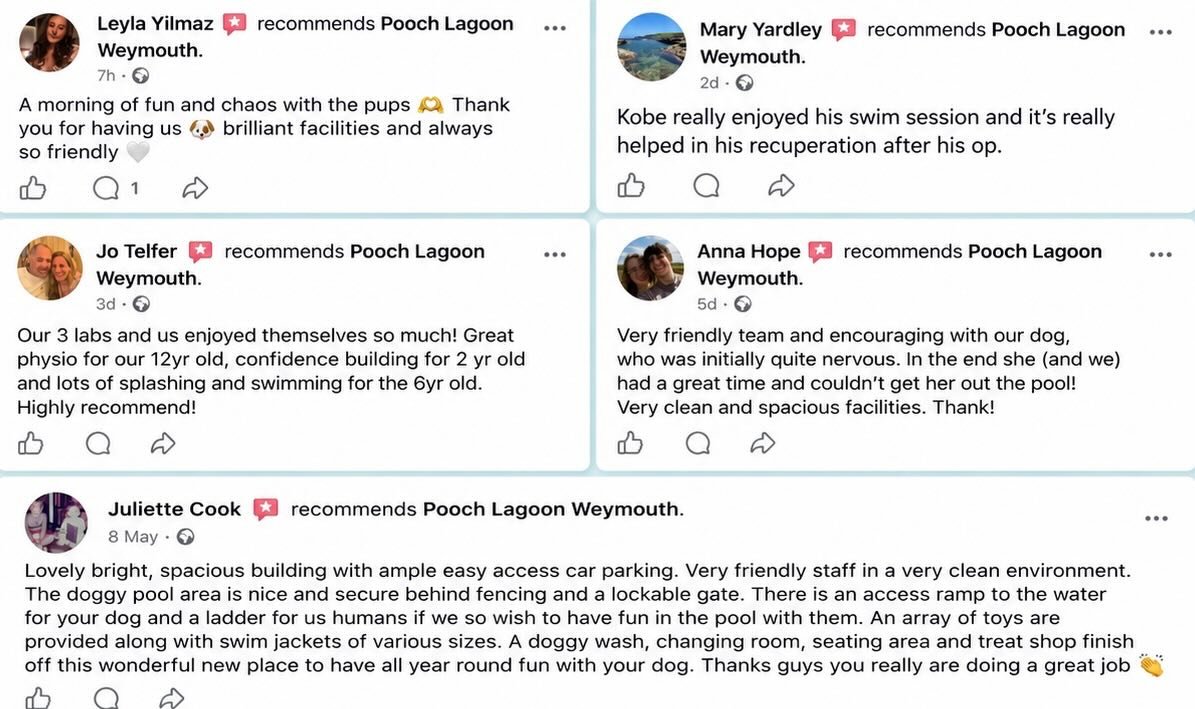We&rsquo;re only in week 2 at Pooch Lagoon and honestly we&rsquo;re so grateful for all the lovely feedback so far 💙🐾

Seeing nervous dogs grow in confidence, older dogs enjoying gentle exercise and pups having the best time in the pool has made al