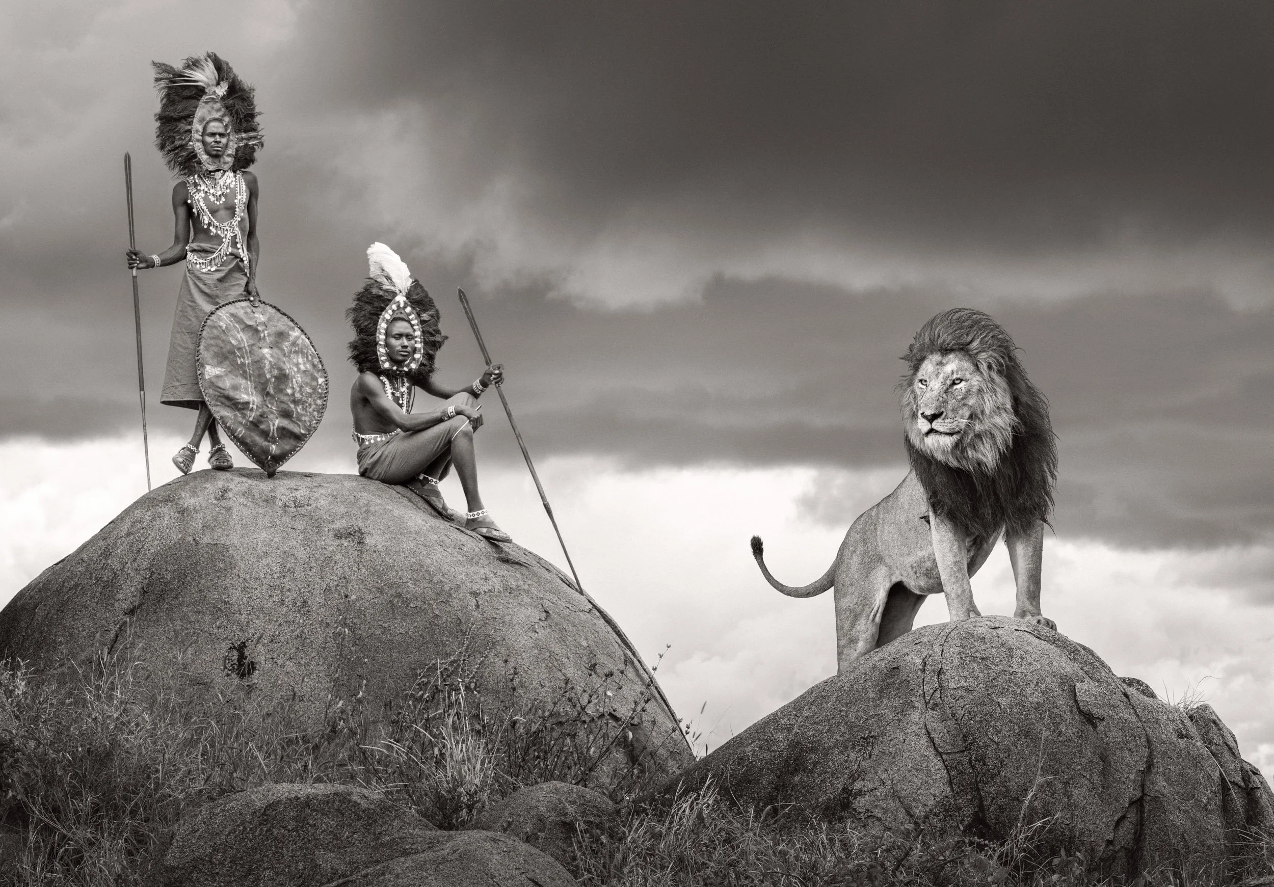 A composite image of two Maasai warriors standing on a rocky kopje with a male lion posed proudly beside them, with dramatic storm clouds over the African savanna.