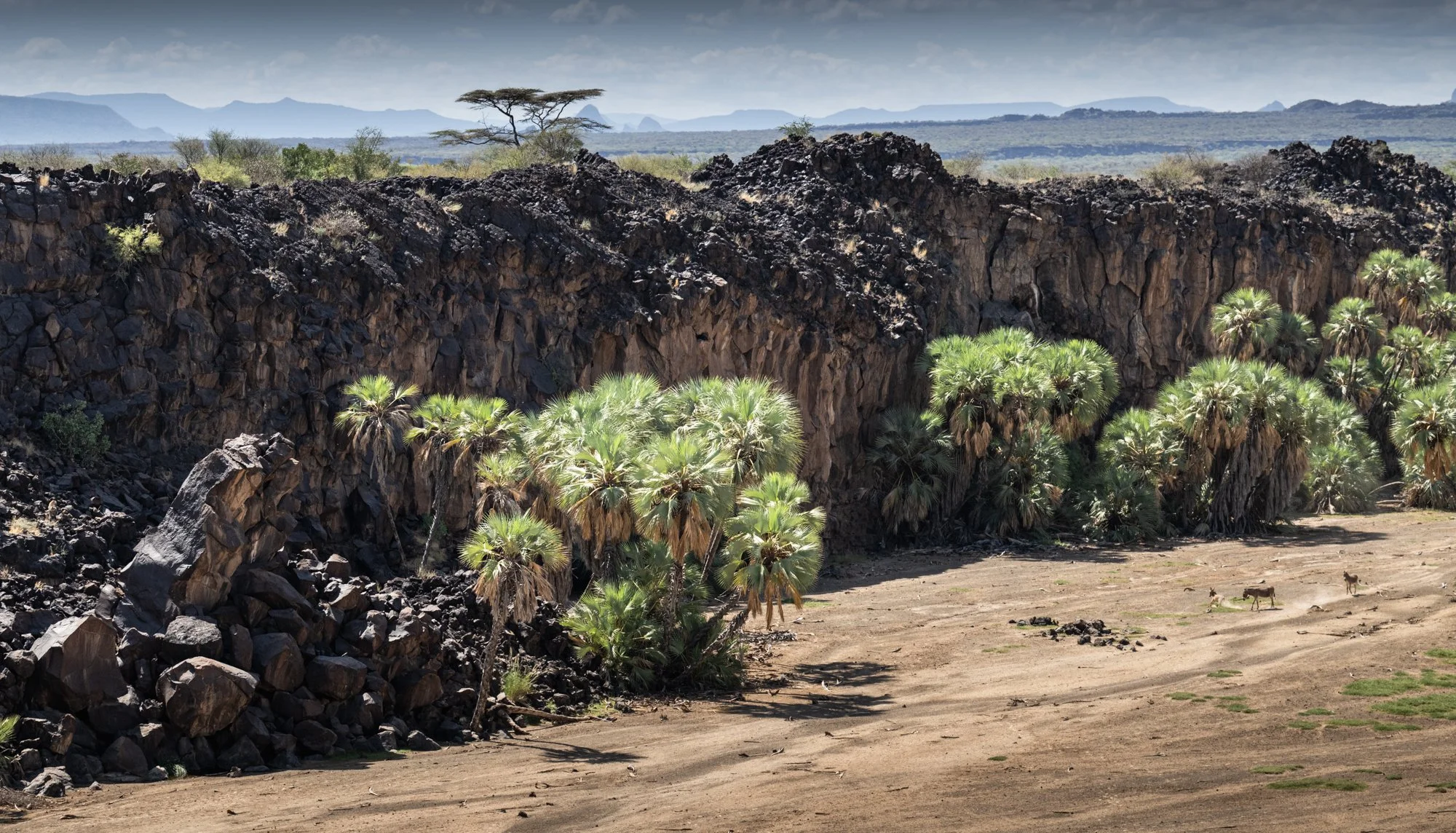 suguta-valley-landscape-helicopter-safari-northern-kenya.jpg